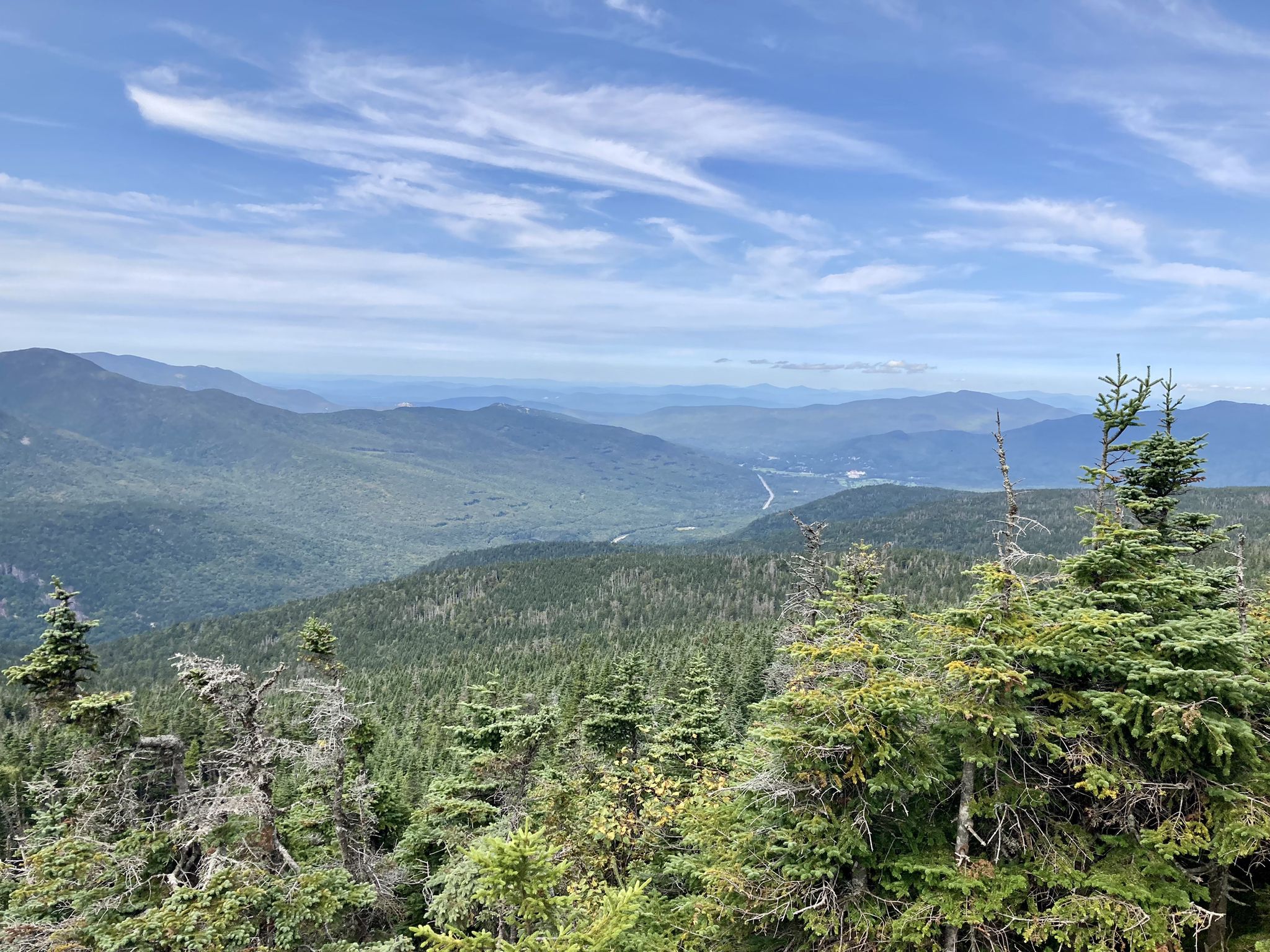 Panoramic view of forested mountains and a valley under a bright sky. - Webster-Jackson Trail