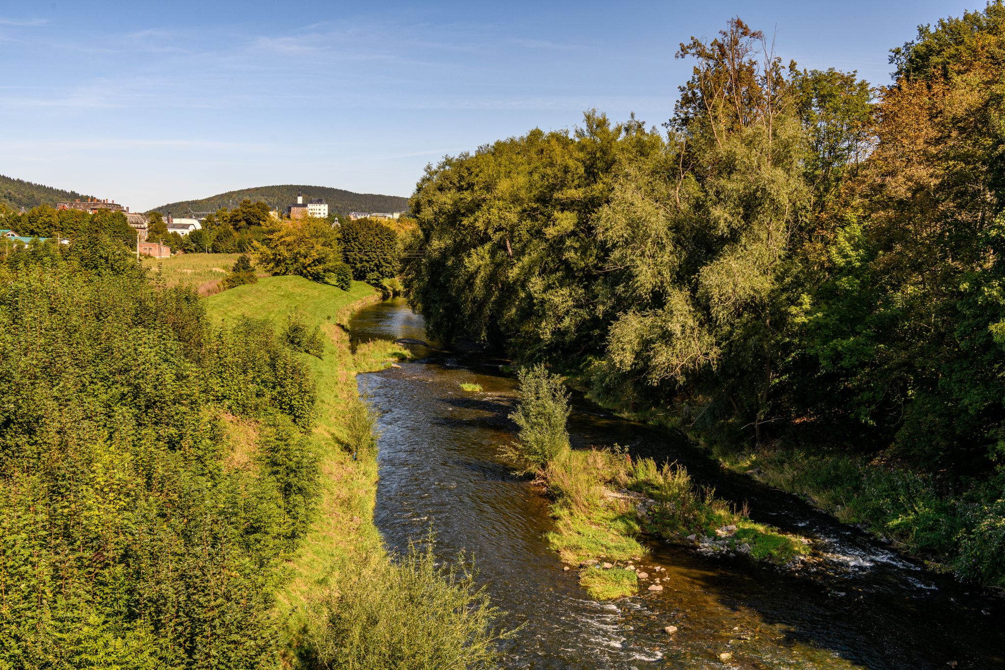 Blick auf die Weiße Elster kurz nach dem Zufluss der Göltzsch