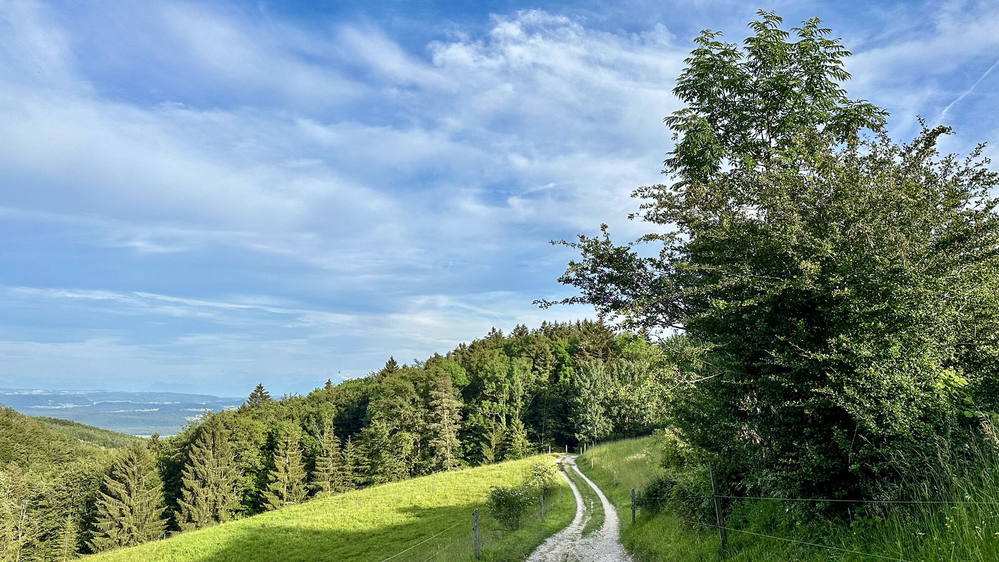 ...es geht bergab Richtung Alp (also Bergwirtschaft zur Alp oder auch "uf em Älpli" genannt)...
