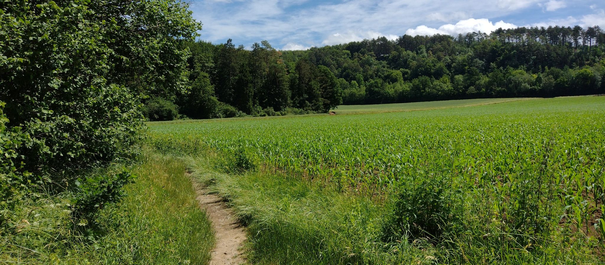 langs de lonne