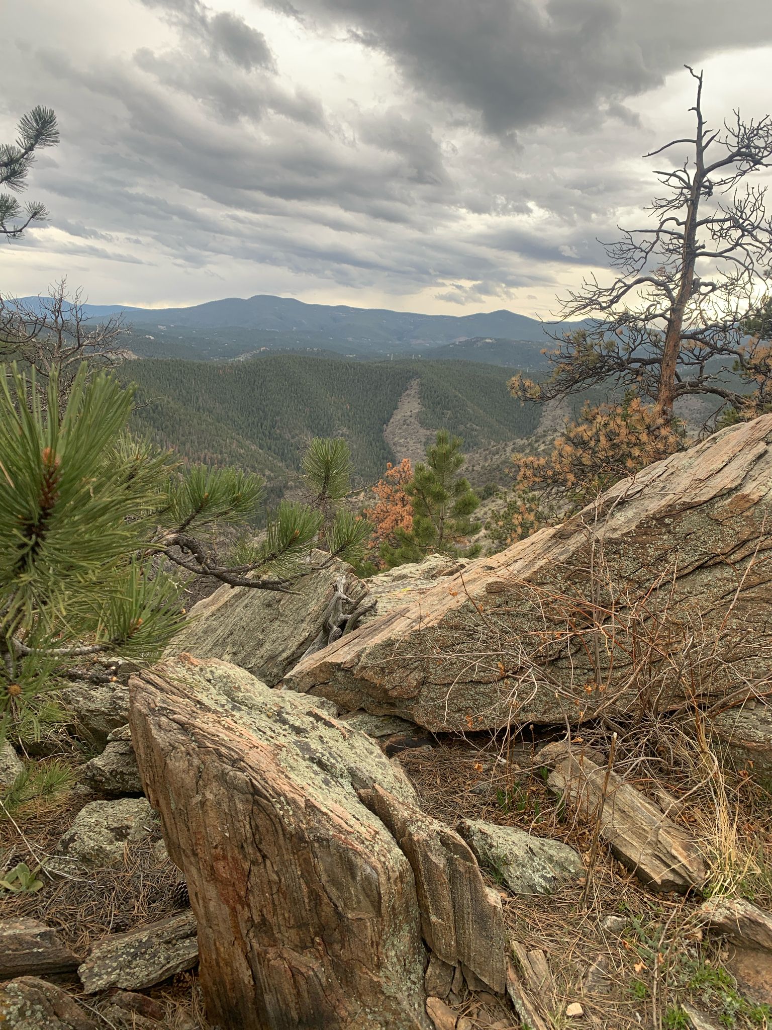Rocky foreground overlooking a vast forested valley under a cloudy, grey sky. - Travois Trail loop from Peaks to Plains Trail