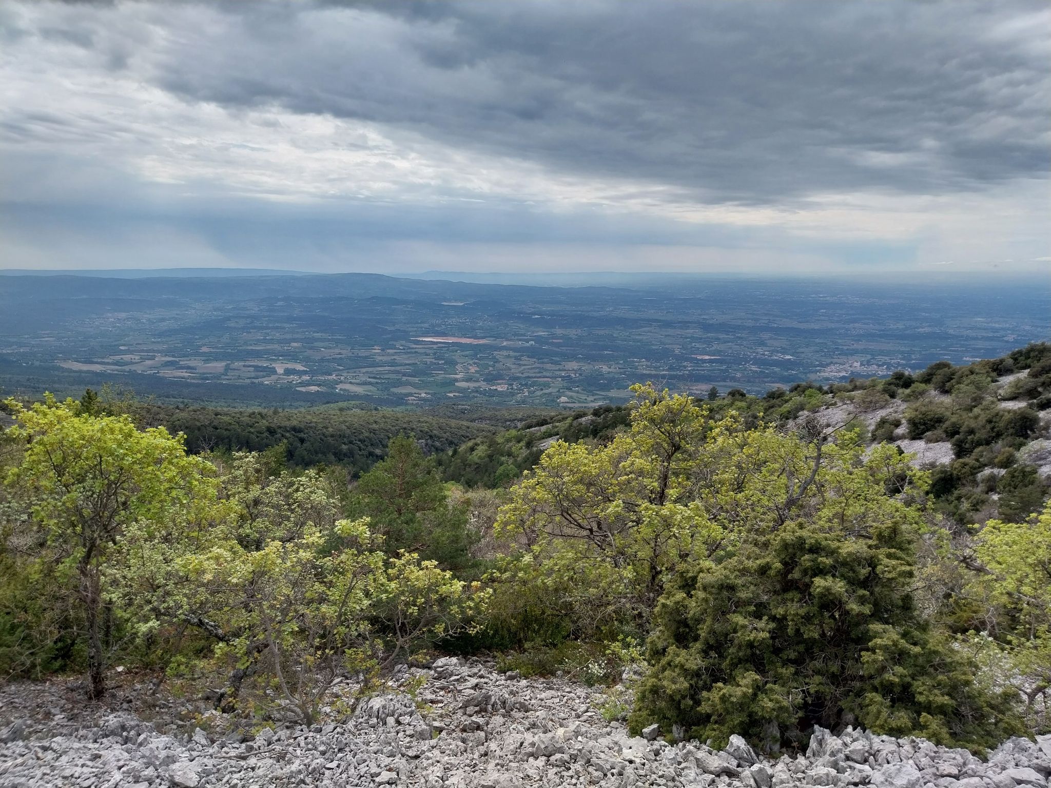 Panorama 2