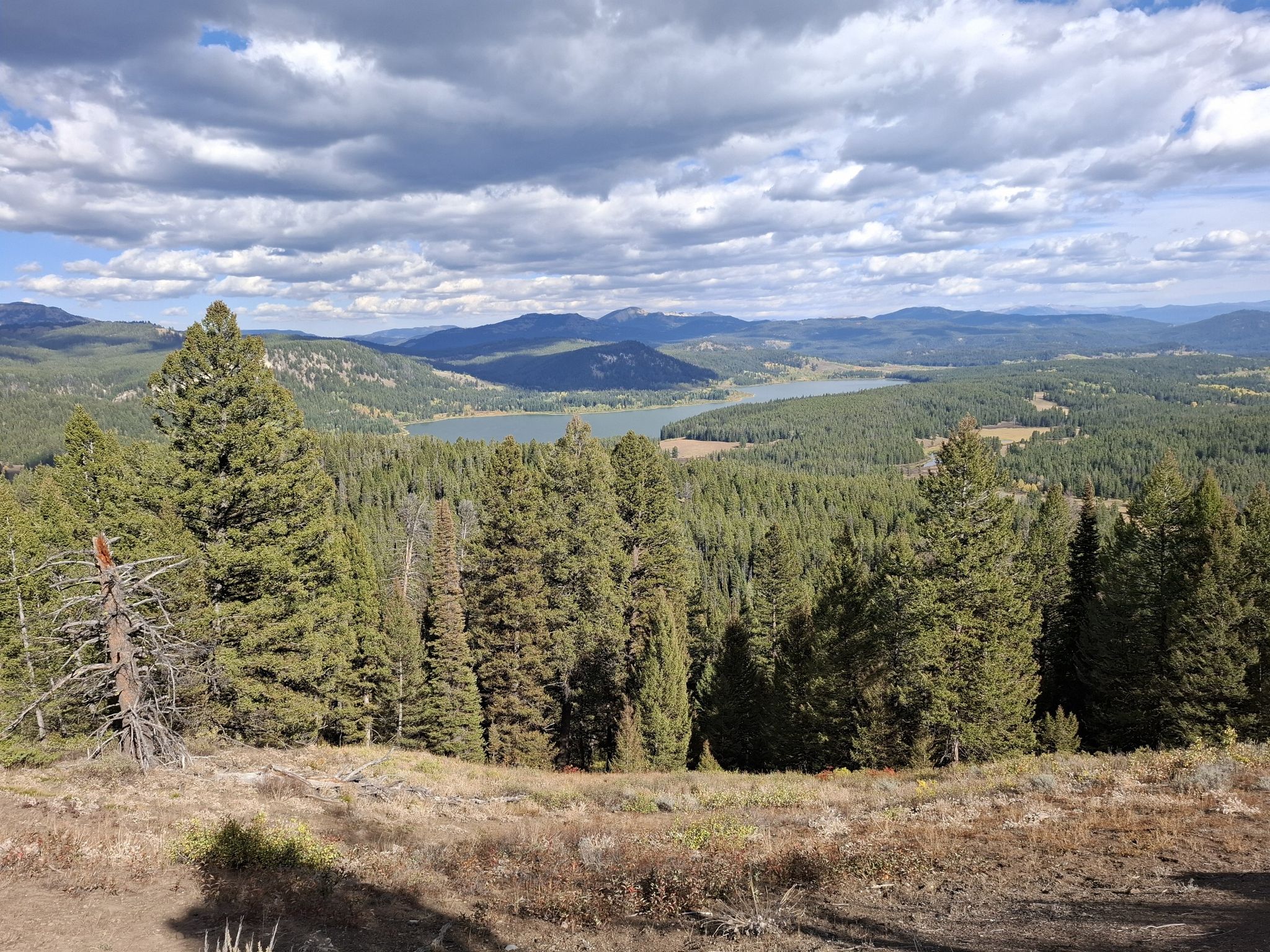 Overlook of a forest, lake, and distant mountains under a cloudy sky. - Grand View Point Trail