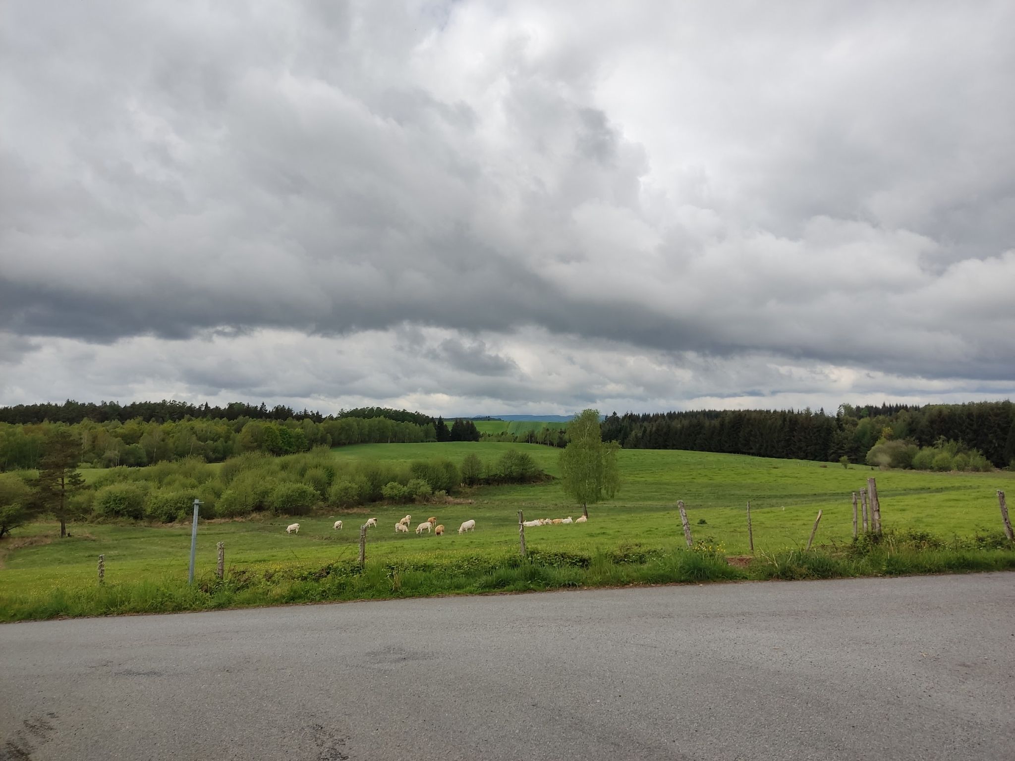 Prairie de Riez