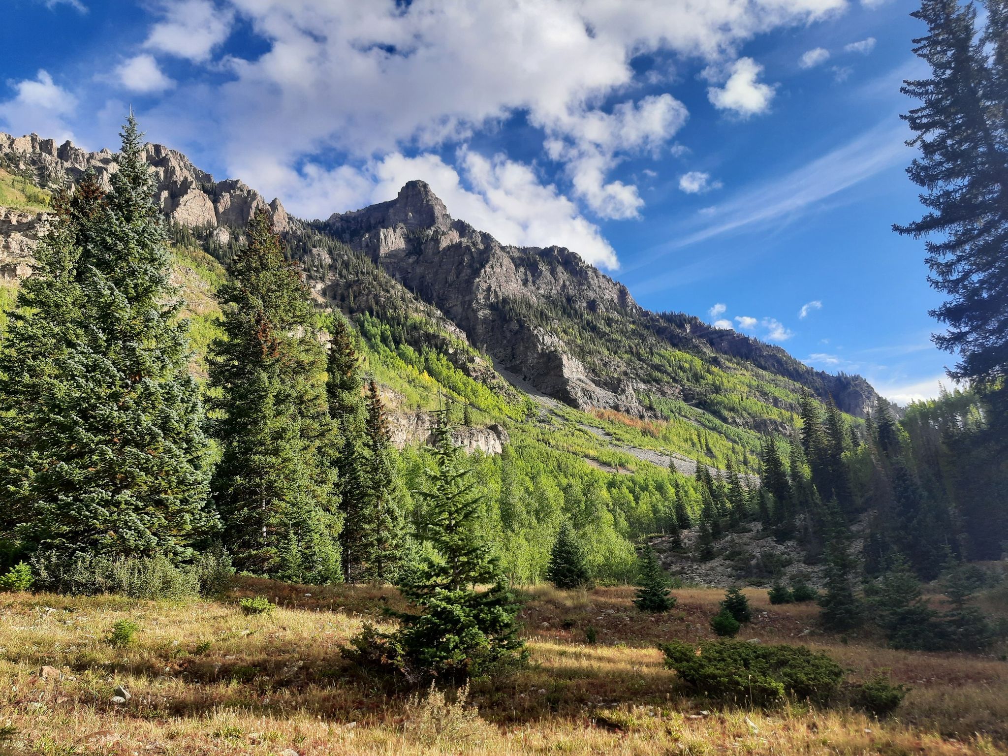 Sunny mountain slopes covered in green trees under a bright blue sky. - Maroon-Snowmass Trail to Crater Lake