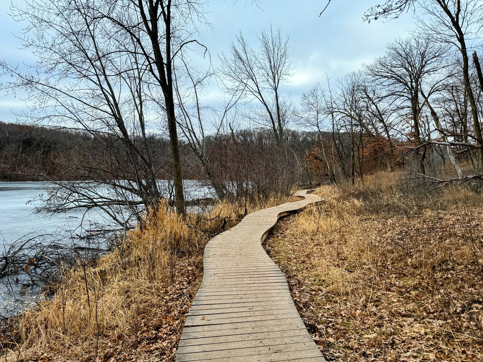 Winding wooden boardwalk next to a partially frozen lake, surrounded by bare trees. - Voyageur Trek