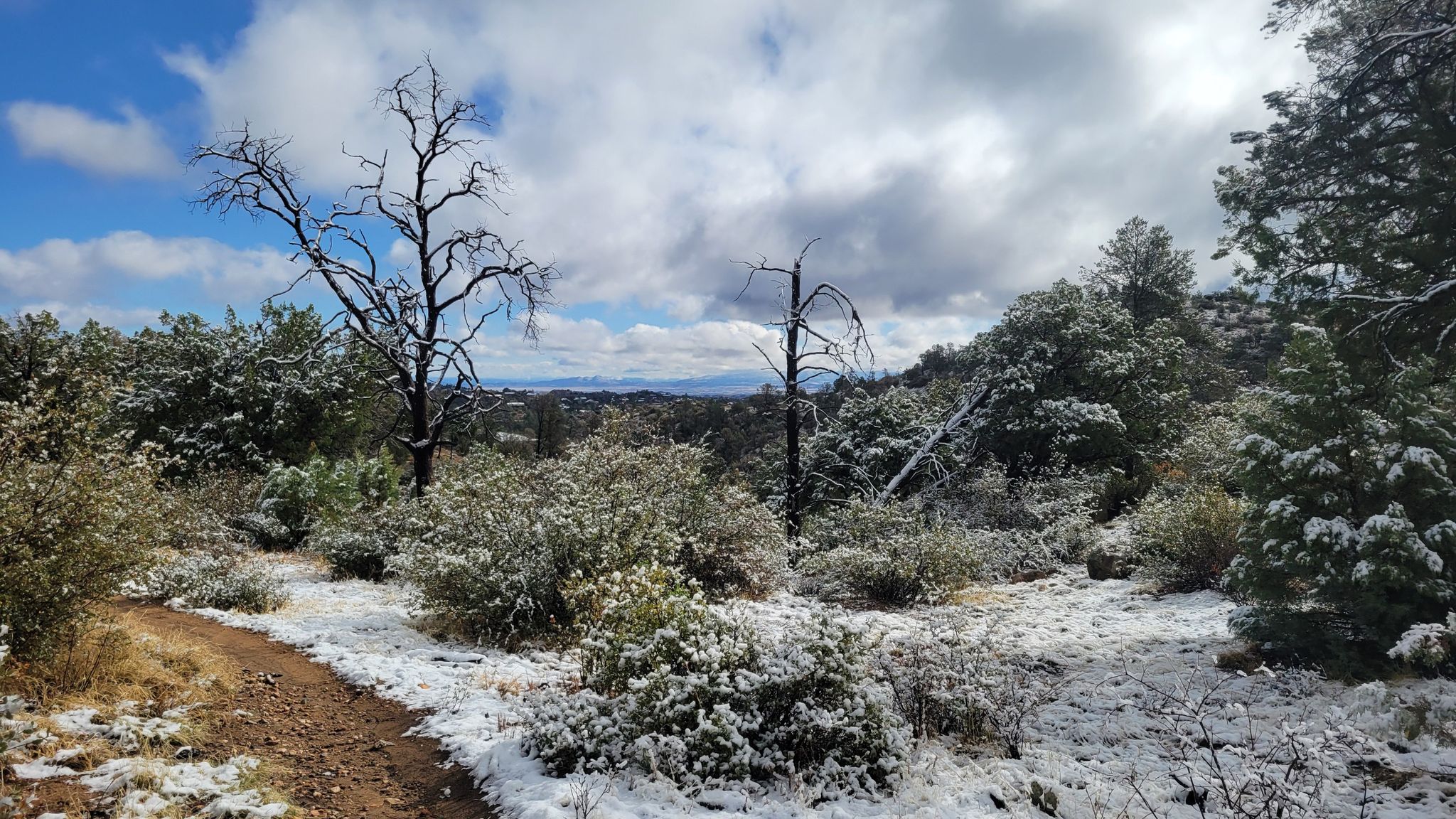 Snow-dusted landscape with bare trees, green bushes, and a winding dirt path. - Pine Lakes #316 and Watertower #315 Loop