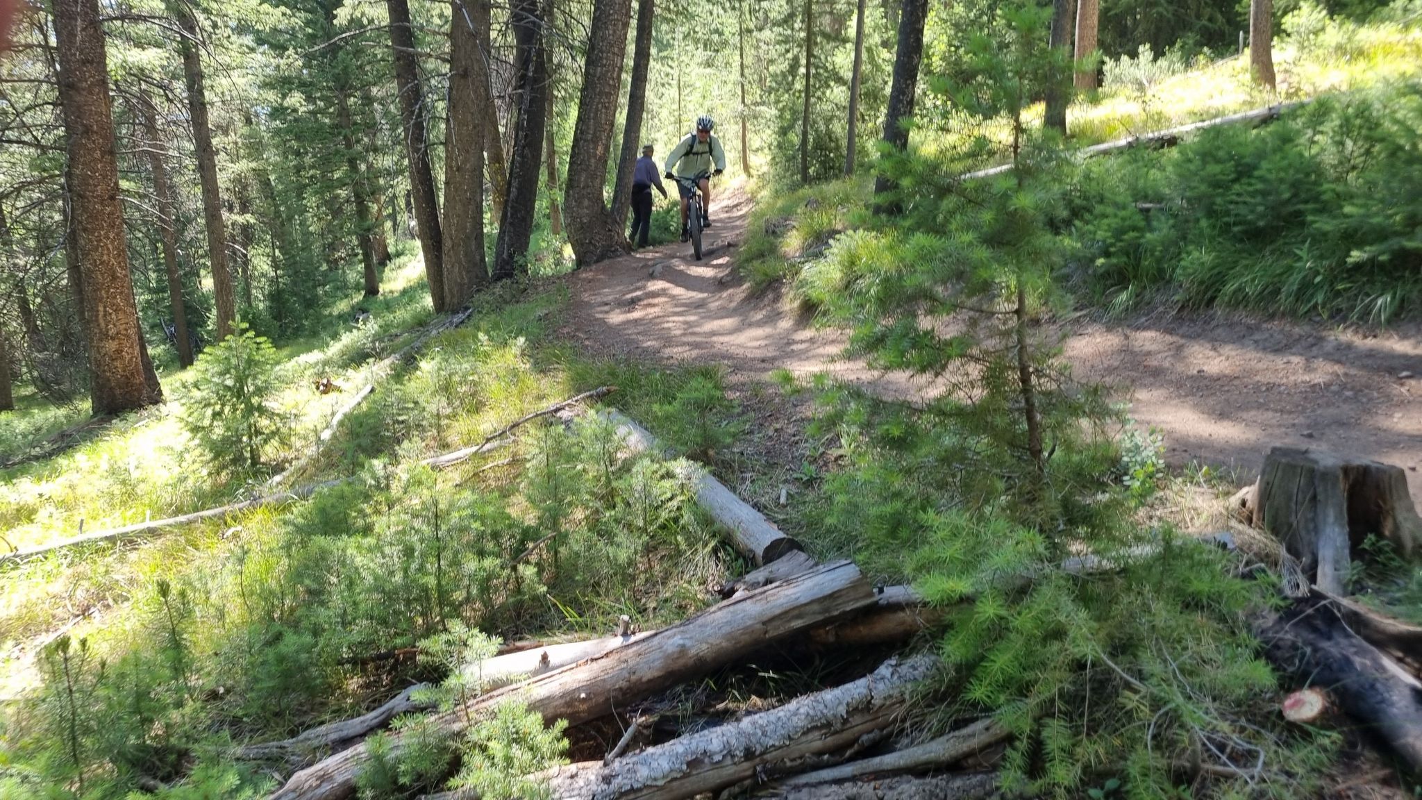 Two people on a sunny forest trail, one biking, surrounded by tall trees. - Mountainbike loop from Hemingway/Northwood Natural Area