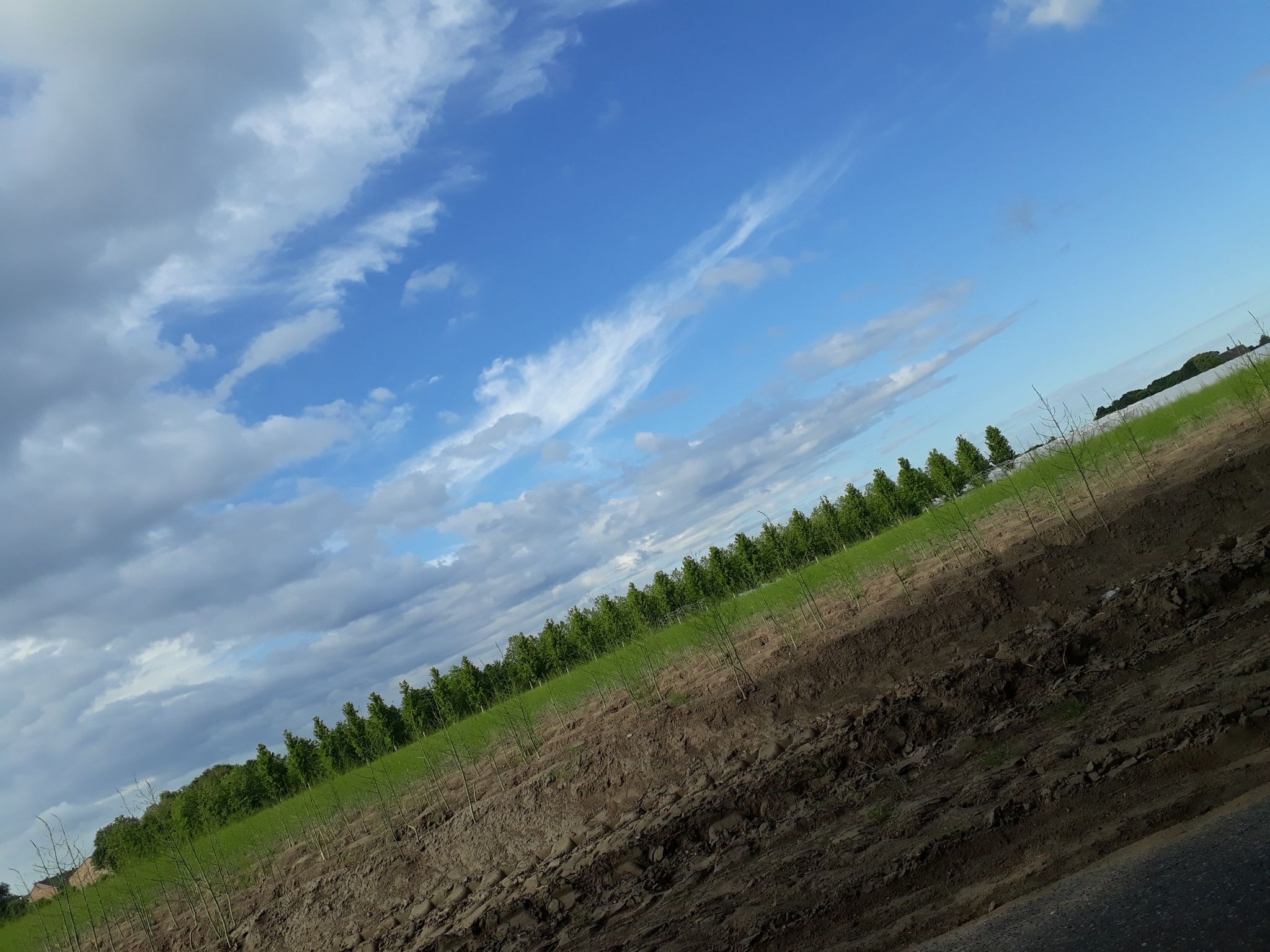 Feld gegebüber