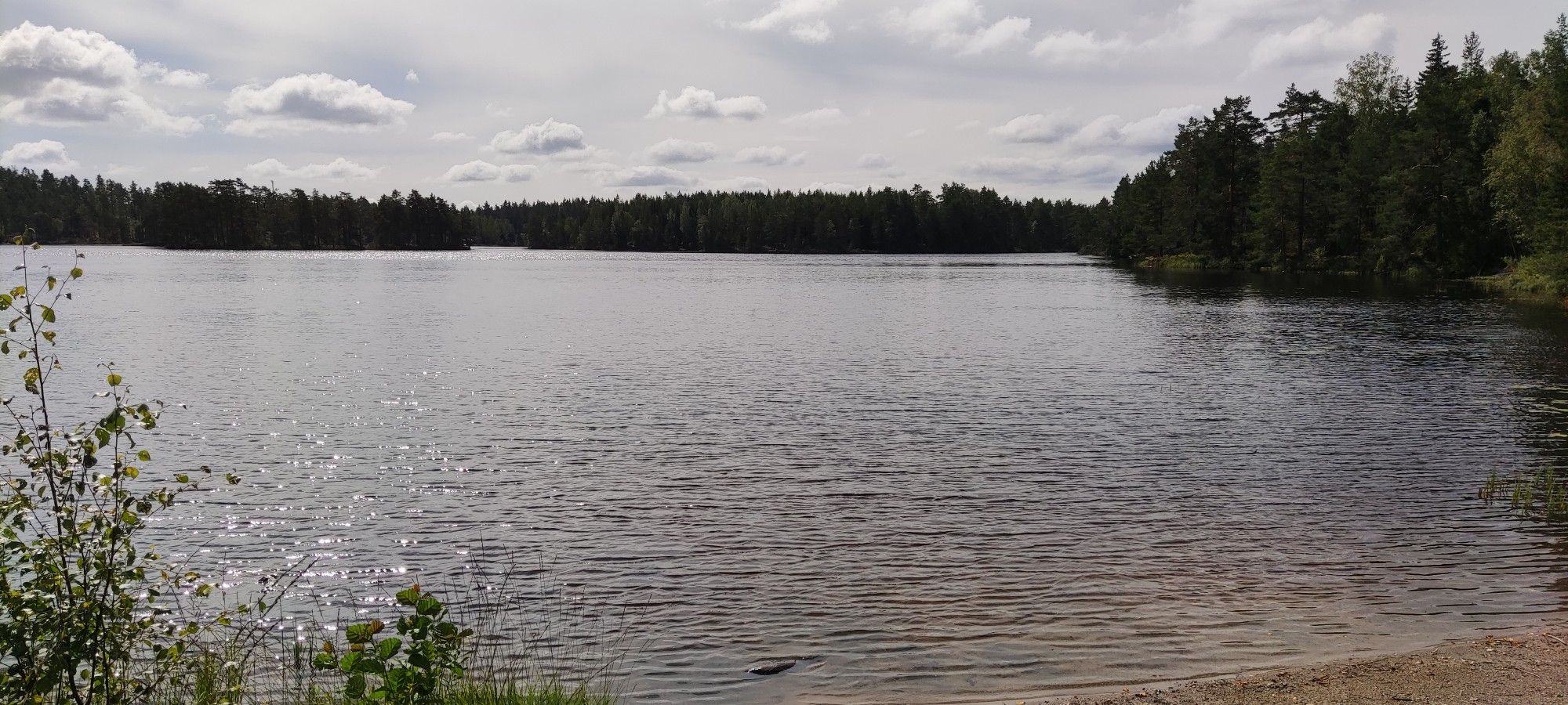 gardsjön