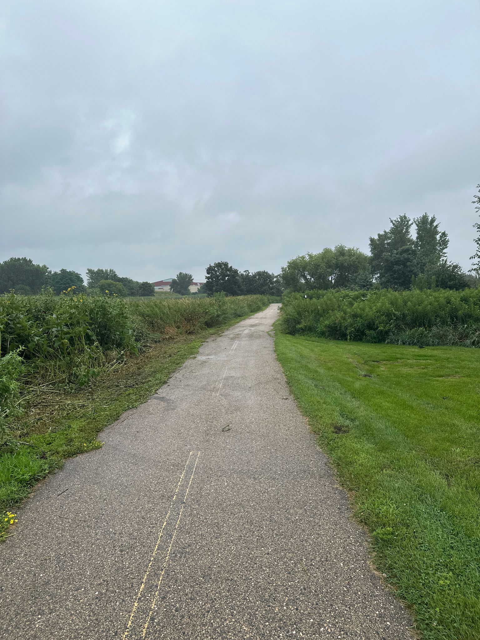 Paved path through green fields under a cloudy, grey sky. - North Fork Trail