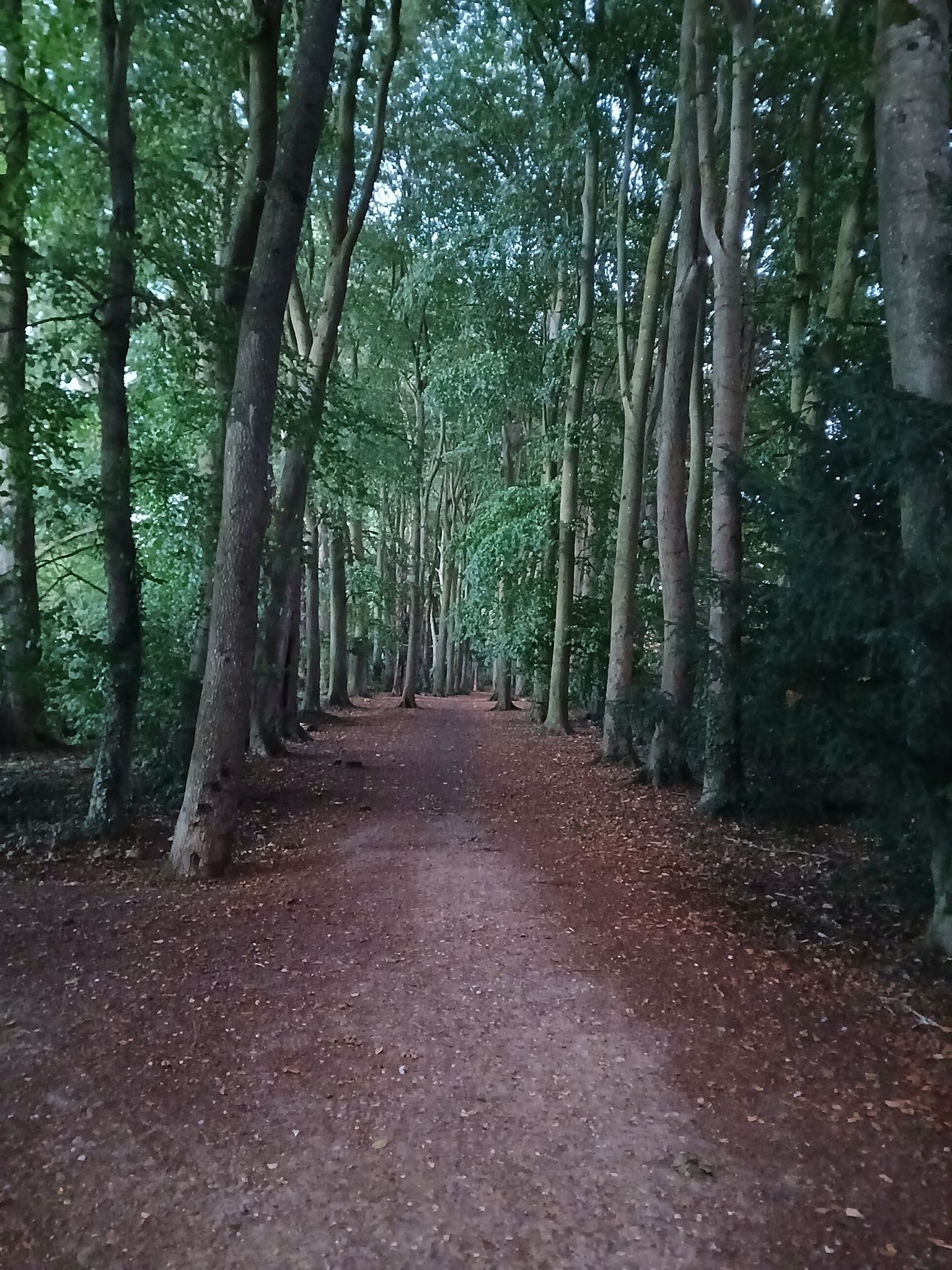 Natural Path