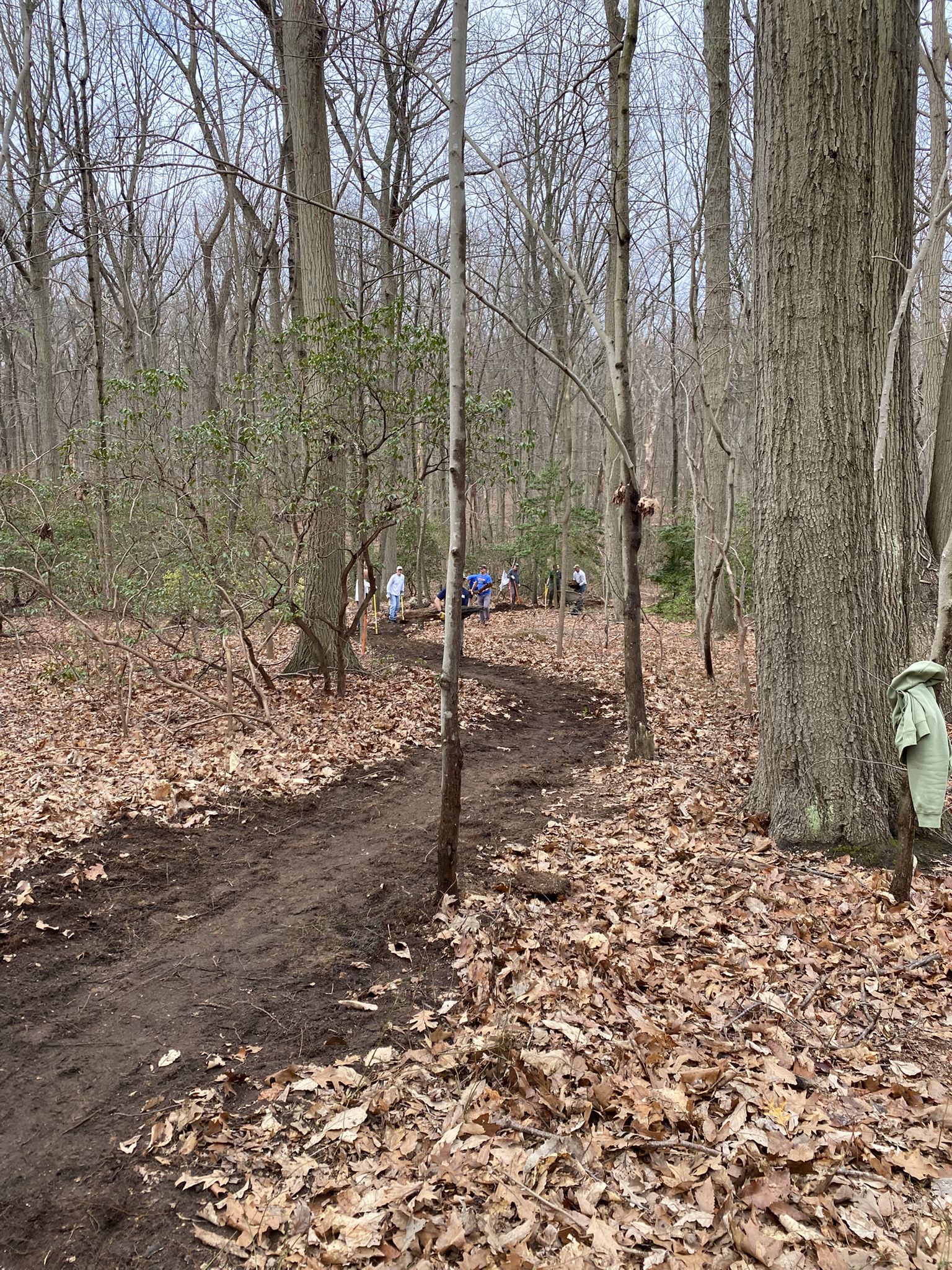 People working on a narrow dirt trail in a bare forest. - Hartshorne Woods Park loop from Highlands