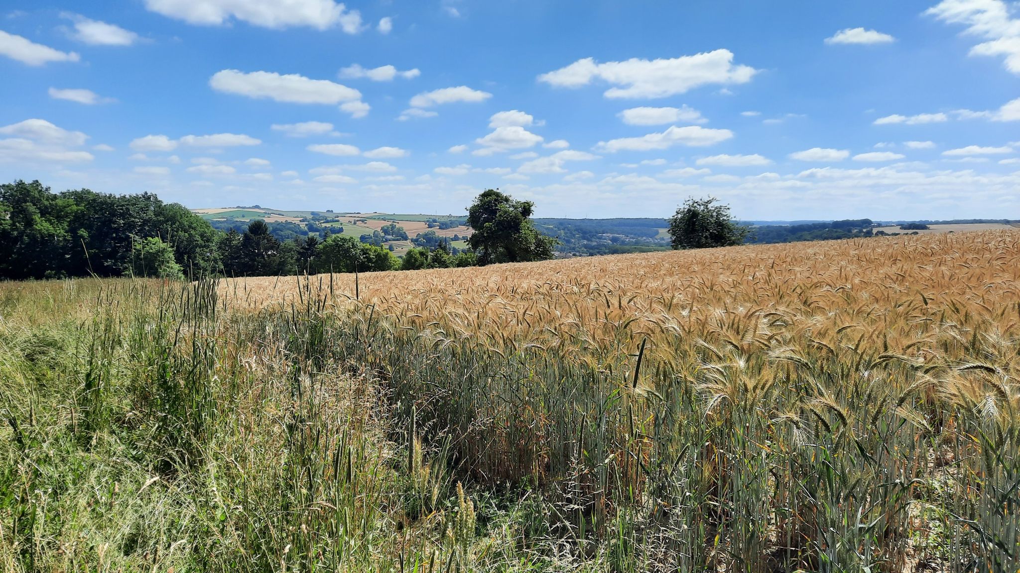 Ausblick über die Felder nach Contwig