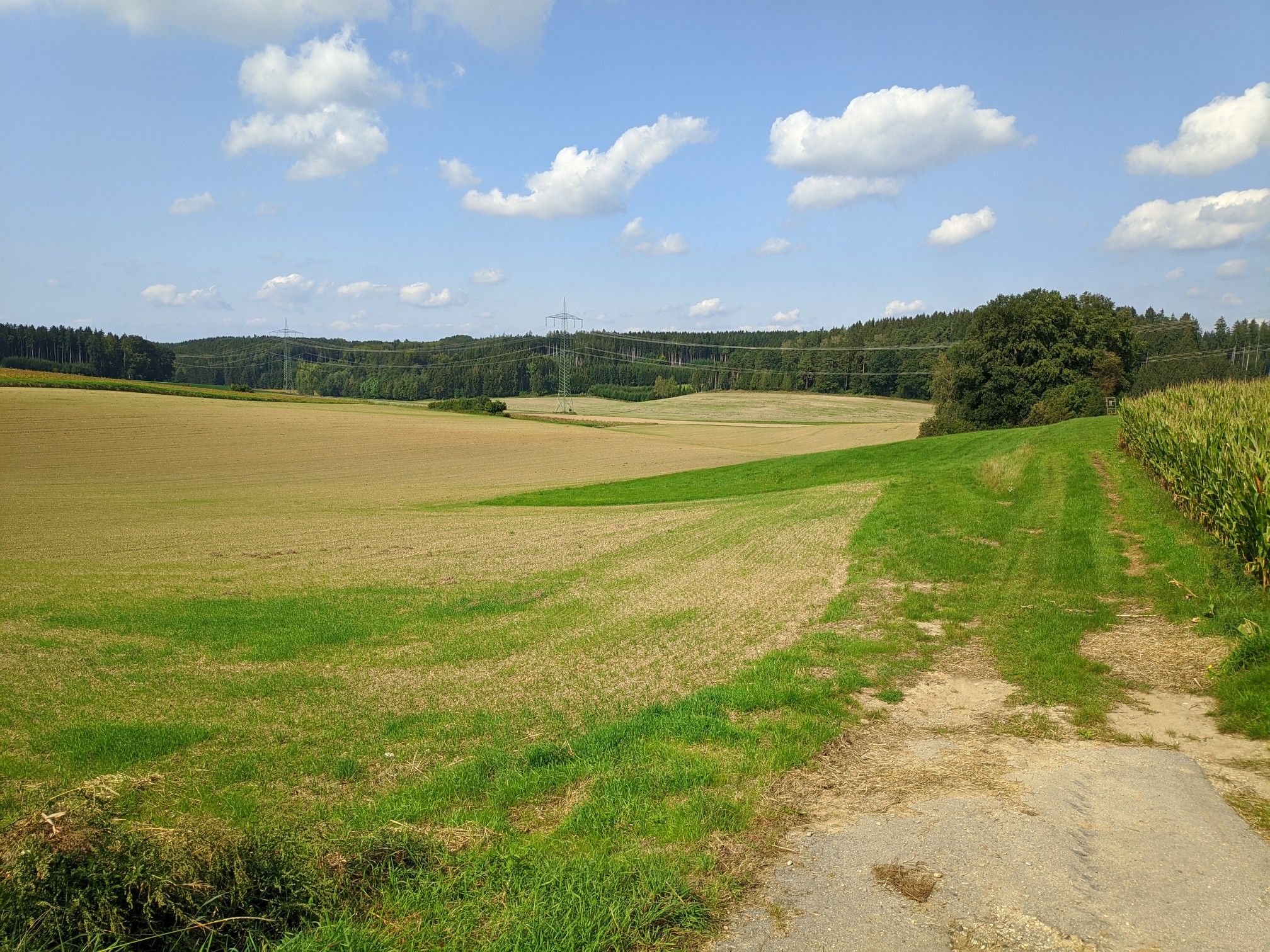 Viel Natur zwischen Stotzard und Allmering