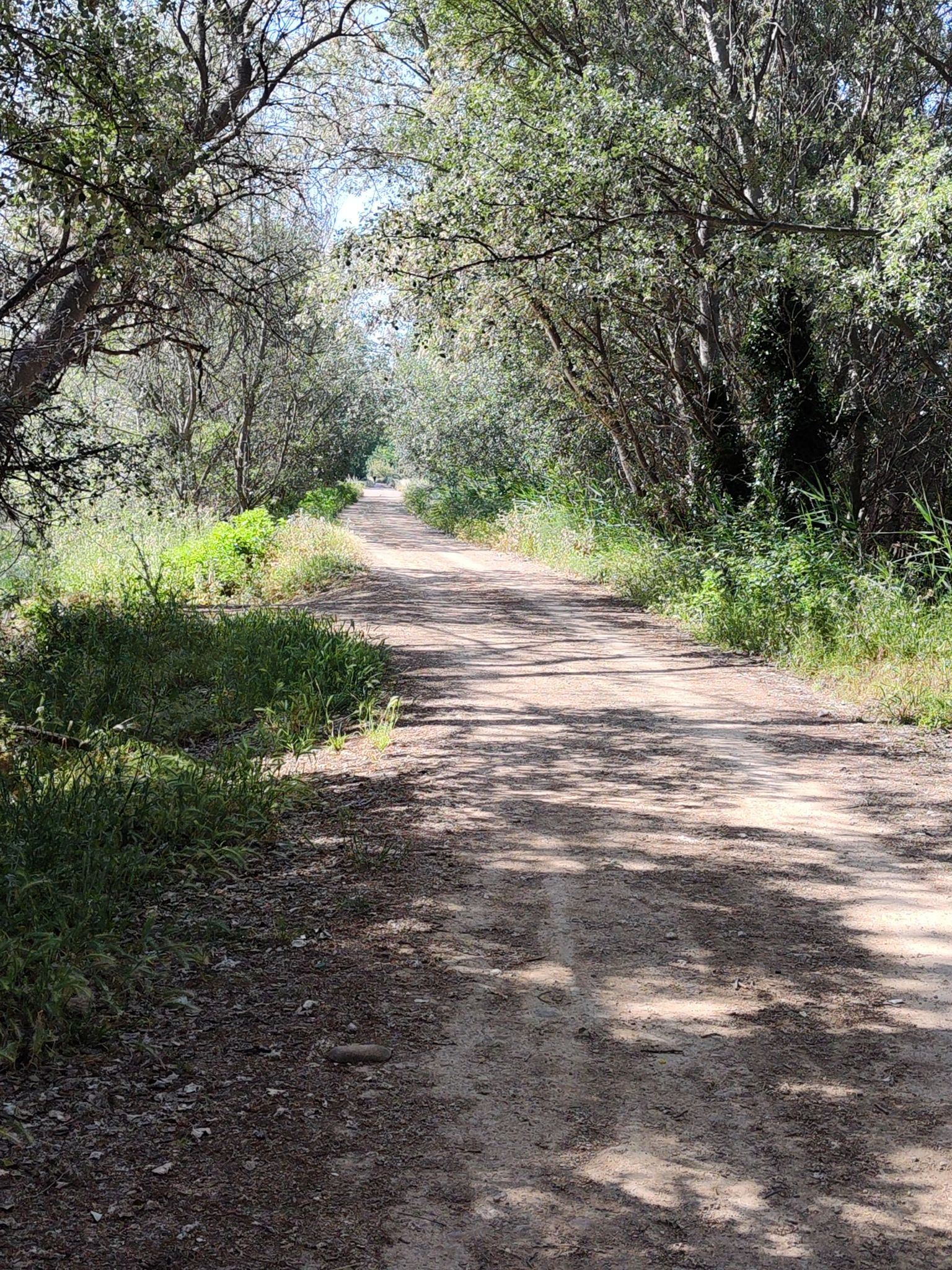 GR99 paralelo al Ebro
