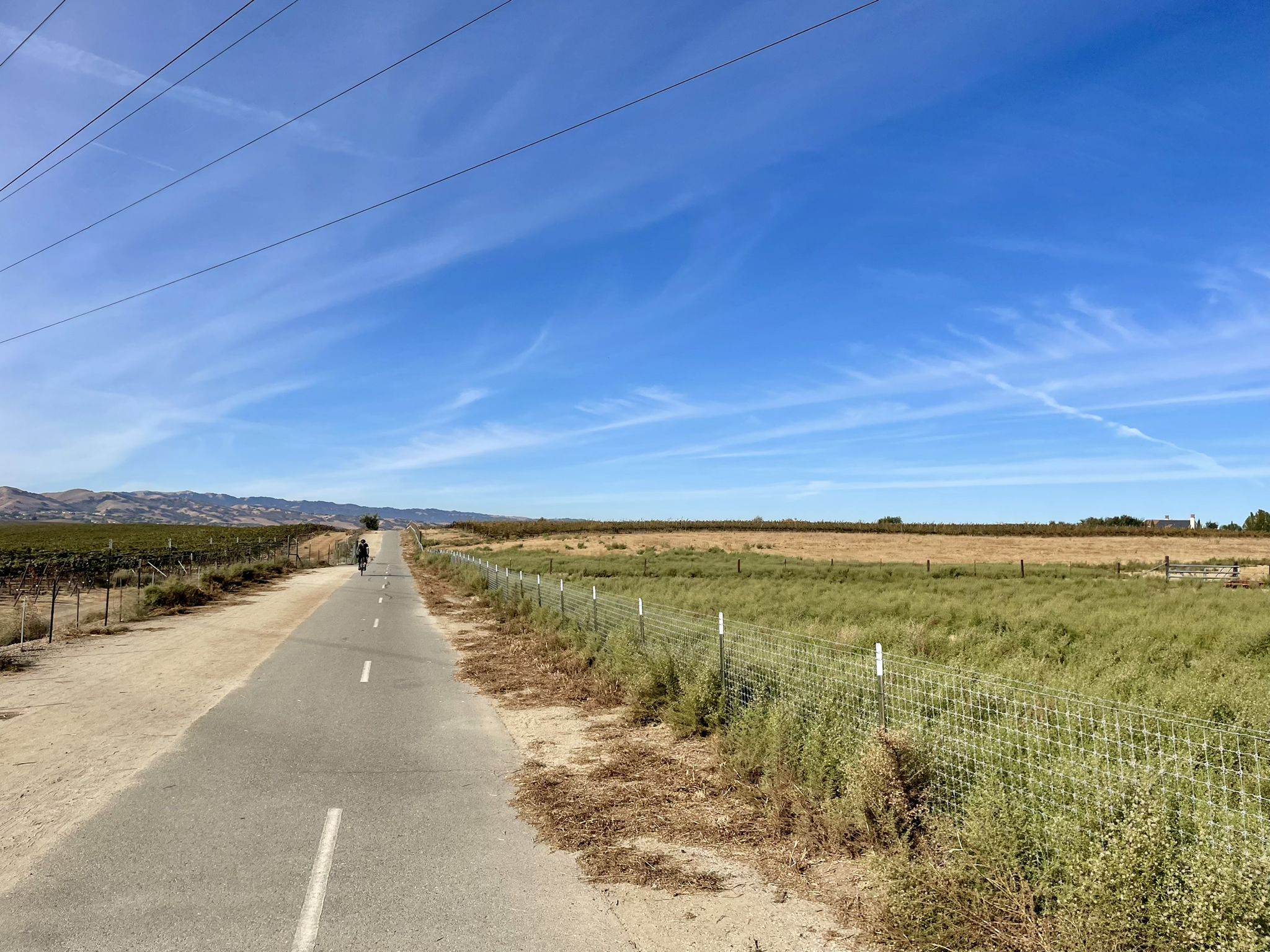 Paved path through fields with distant hills under a bright blue sky. - Sycamore Grove Park – Olivina Gate loop from Livermore