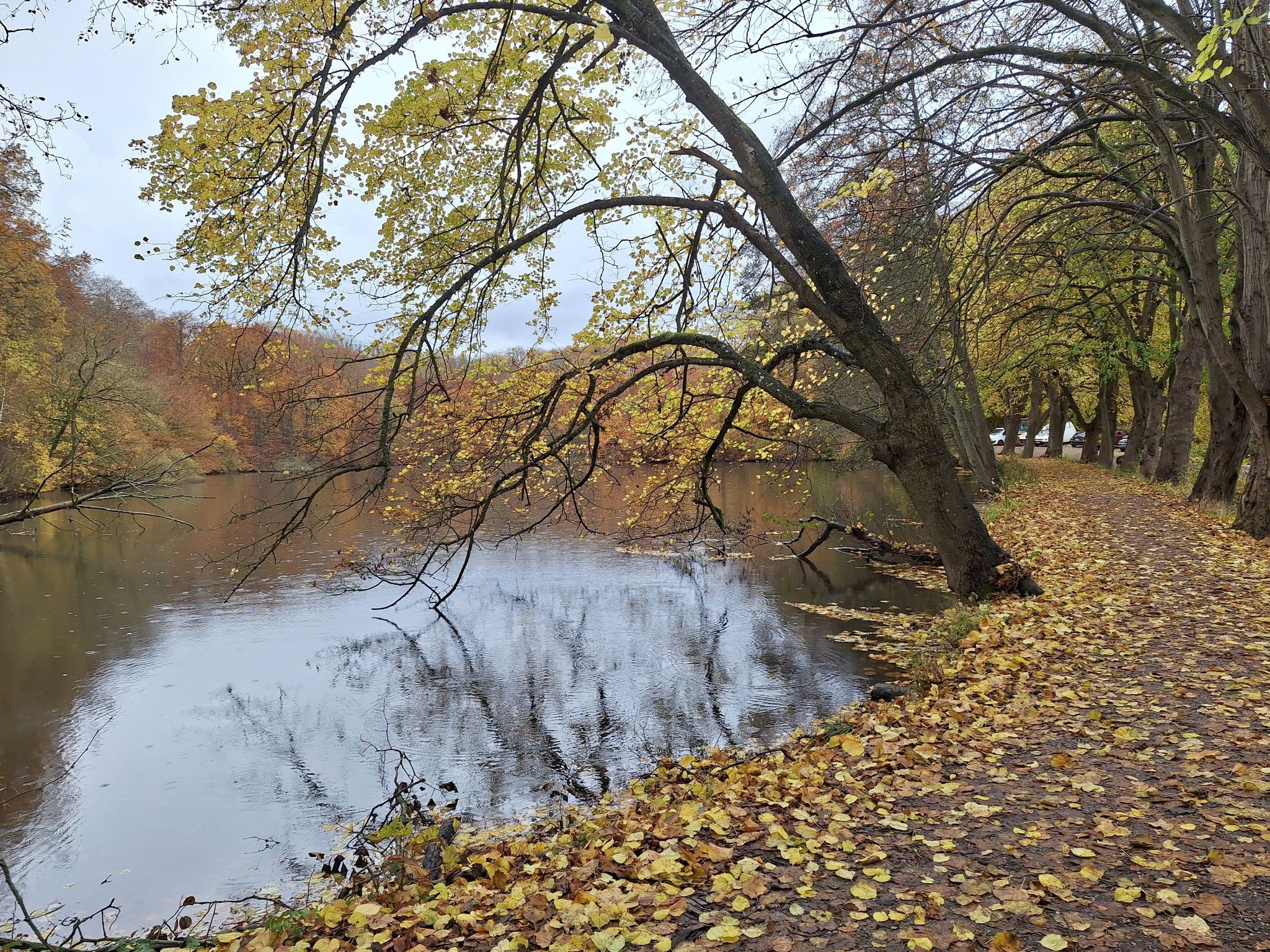 Marielundsøen
