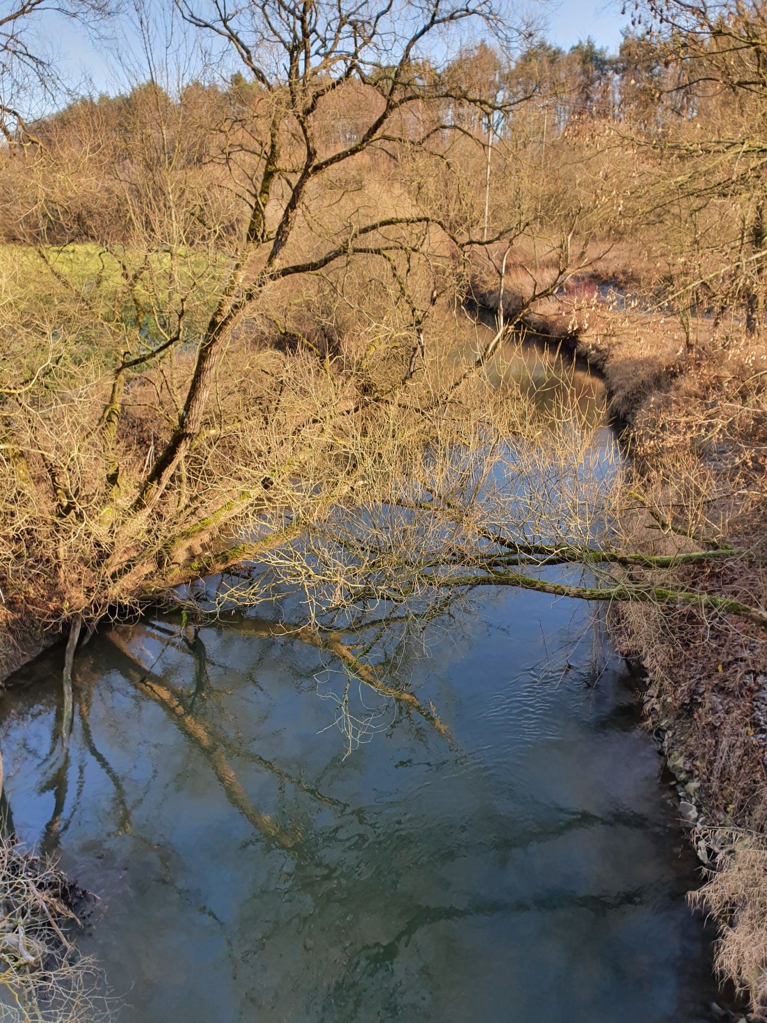 Pegnitz bei Rückersdorf