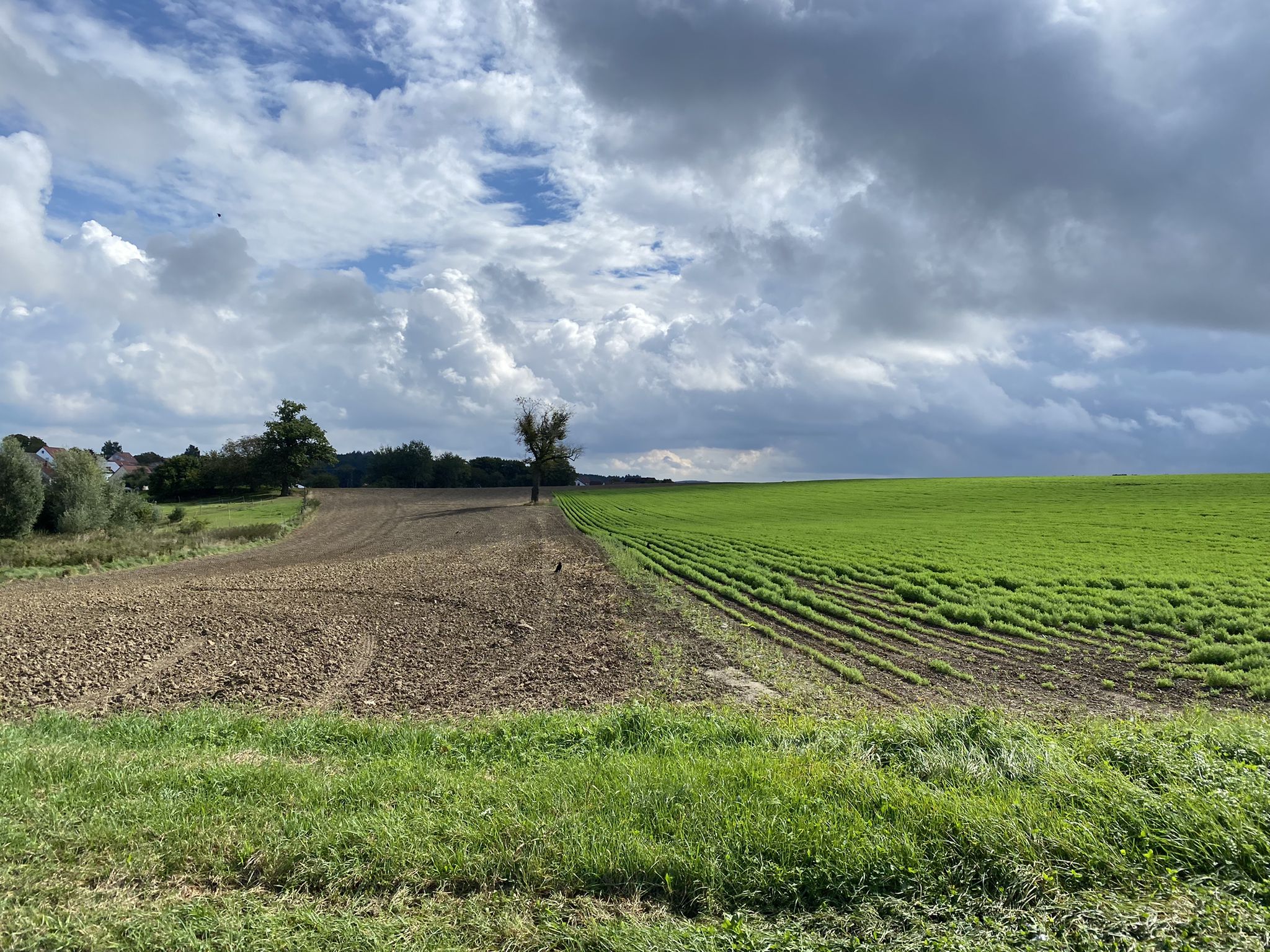 Einfach nur schön..immer wieder neu formierte Wolken