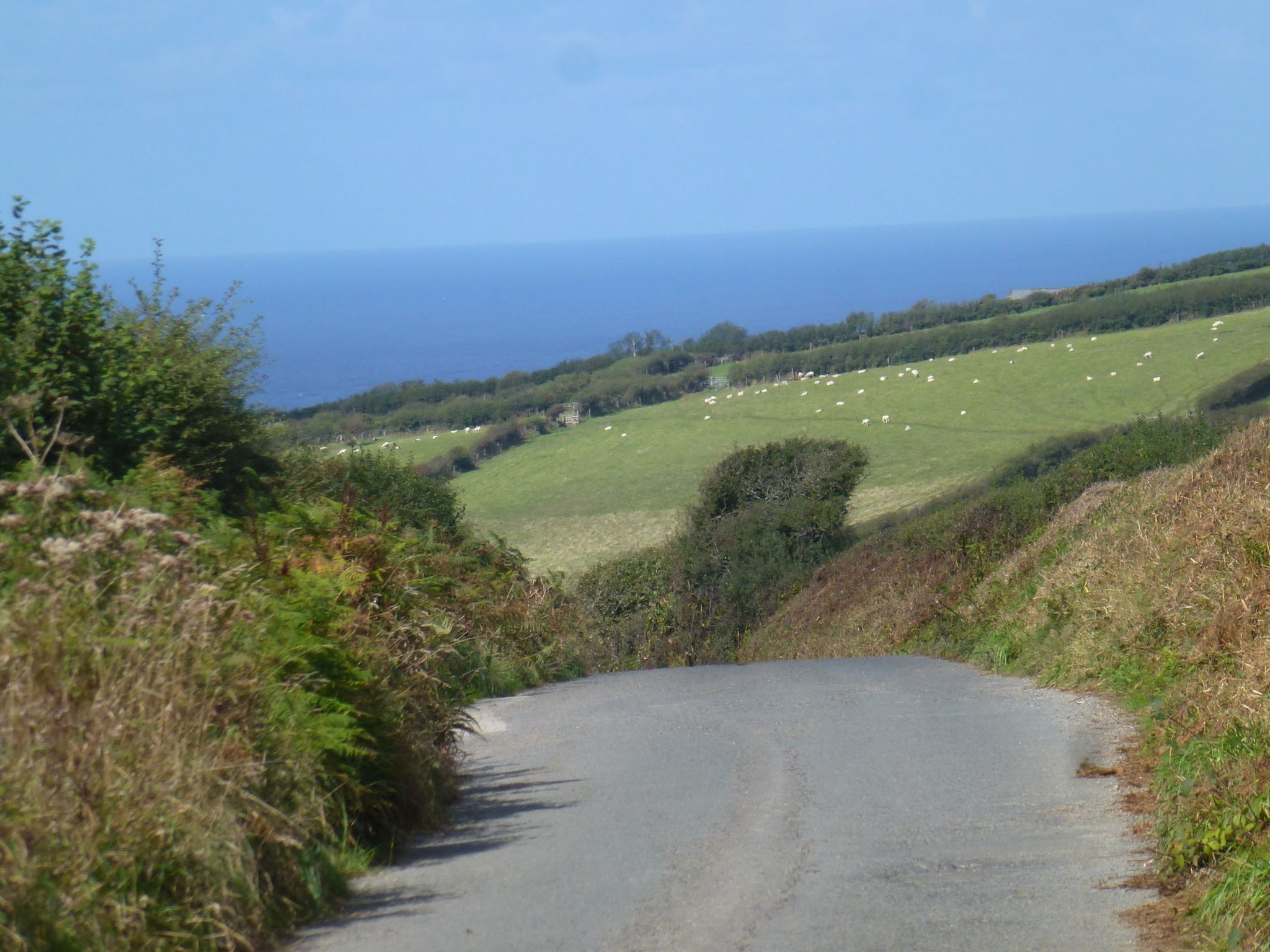 The climb from Trewarmett, approaching Delabole