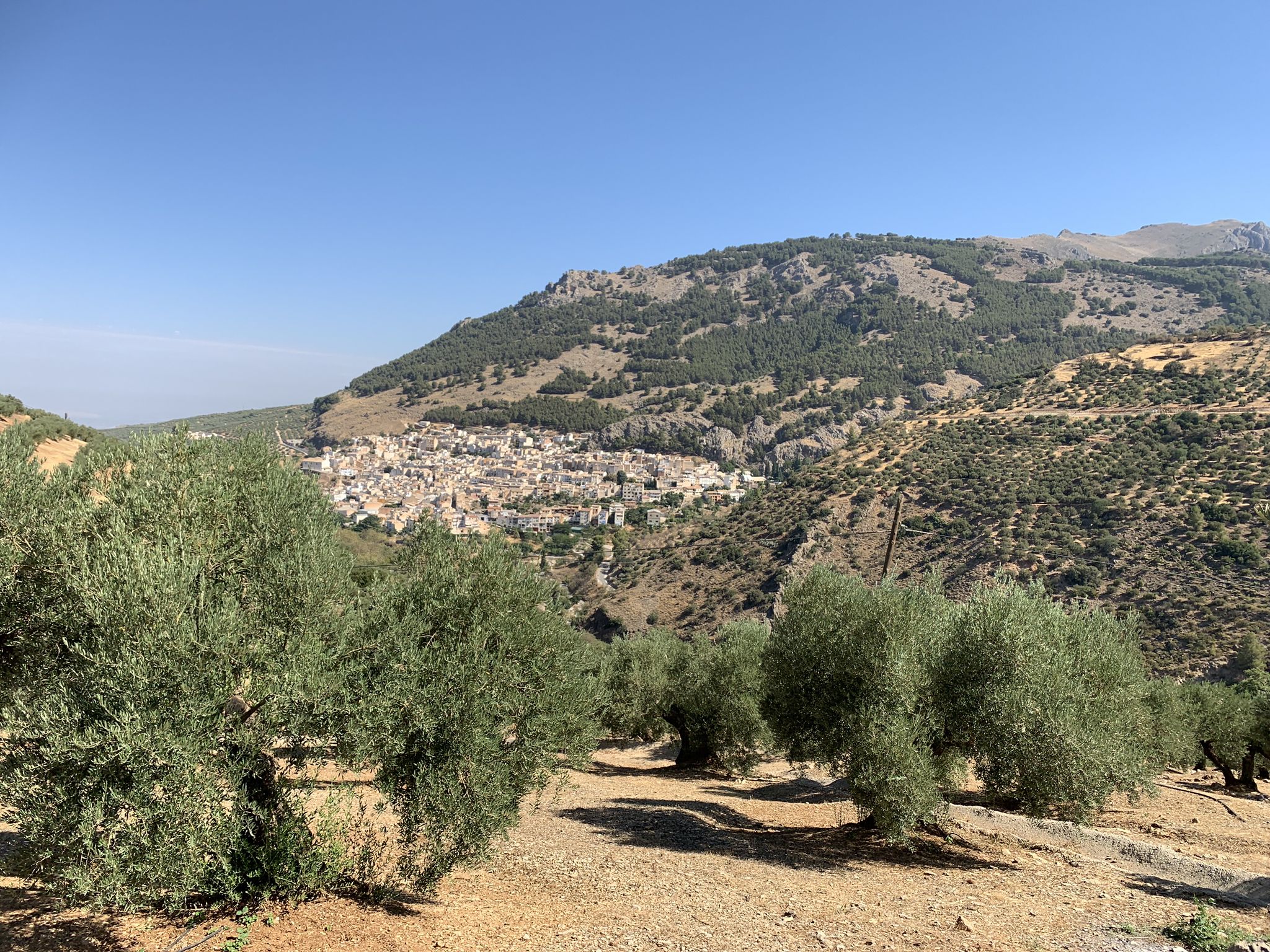 Vista del pueblo de Torres