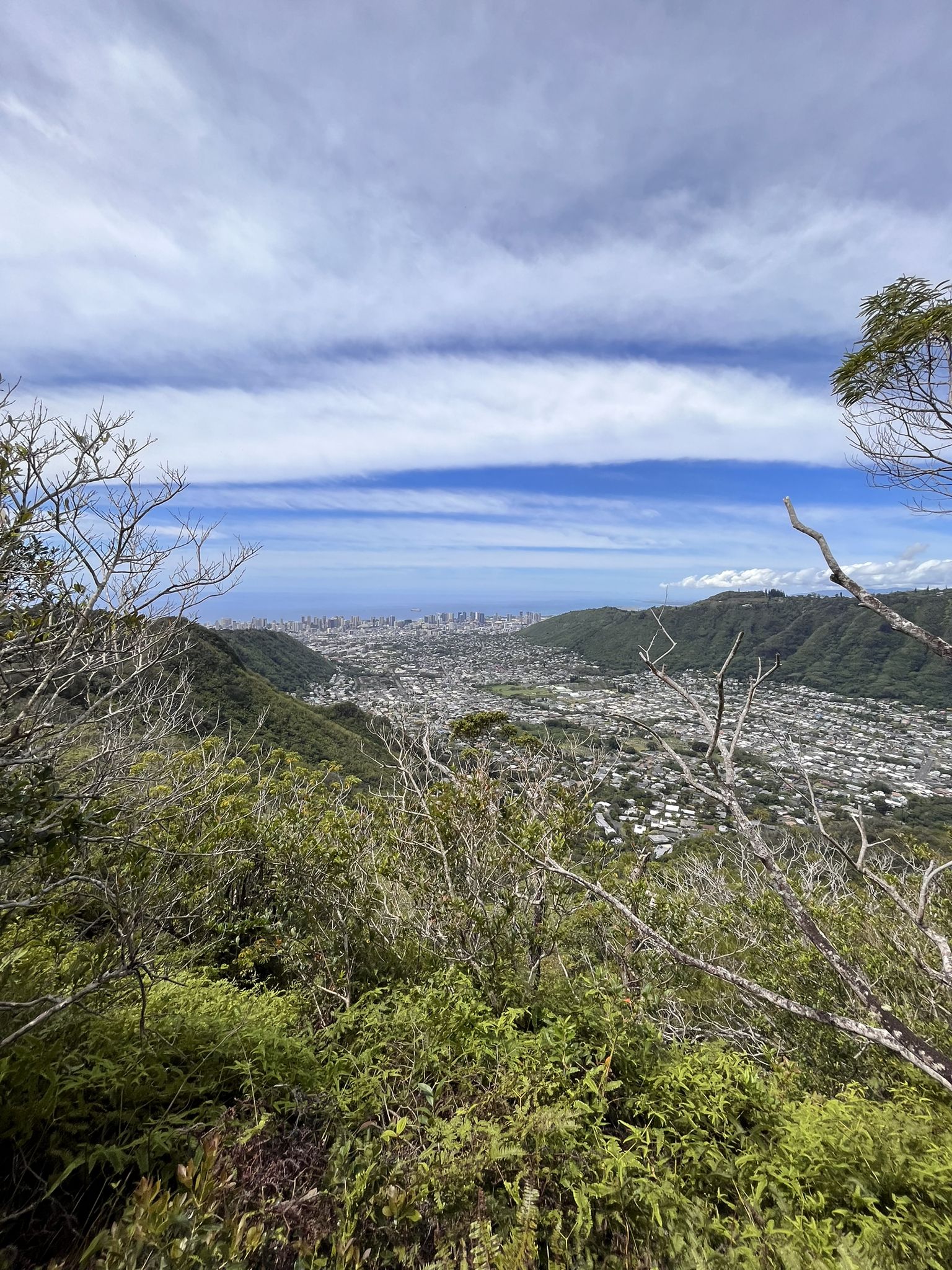 View from a mountain through green foliage, showing a distant city and ocean. - Wa'ahila Ridge and Kolowalu Trail Loop