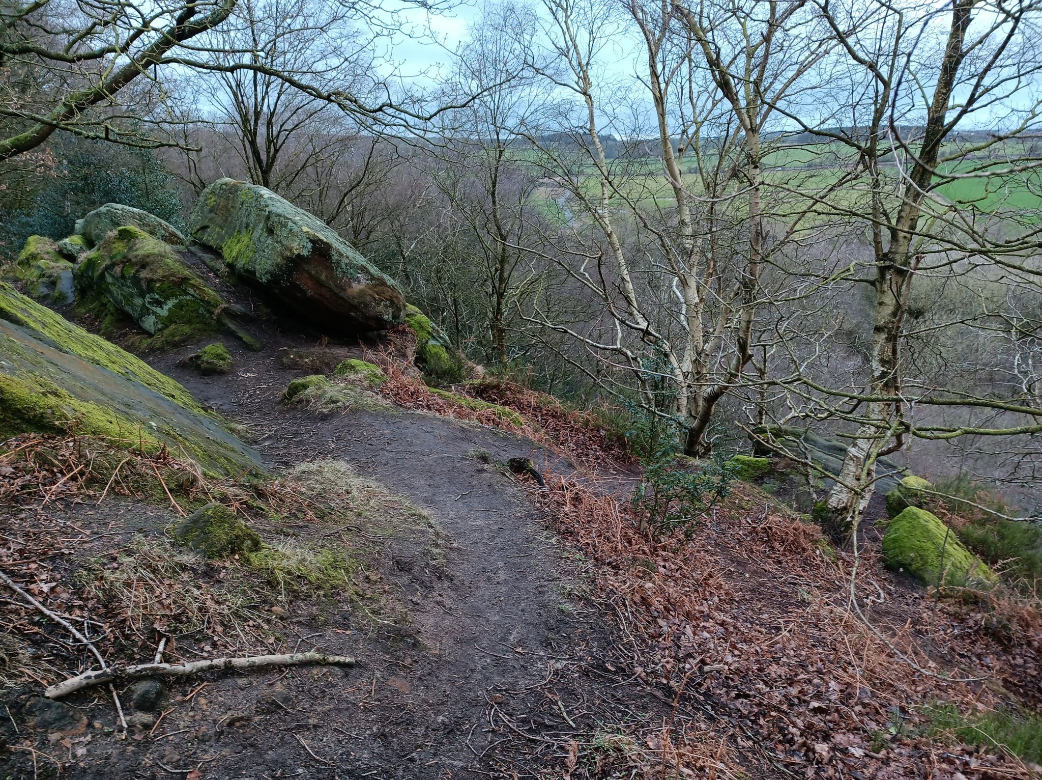 The Crag