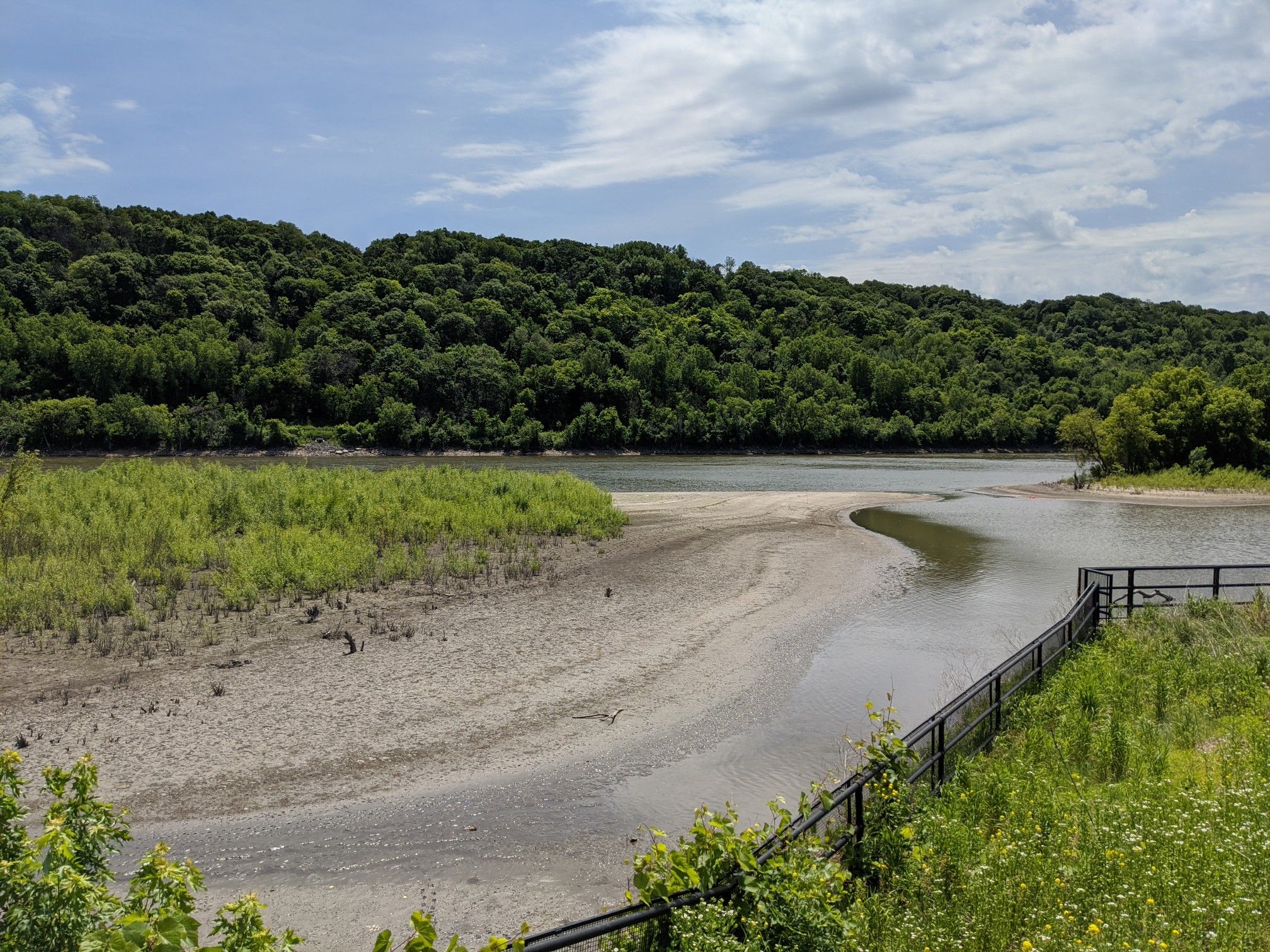 River with sandy banks, green reeds, and forested hills under cloudy sky. - Saint Paul Grand Round