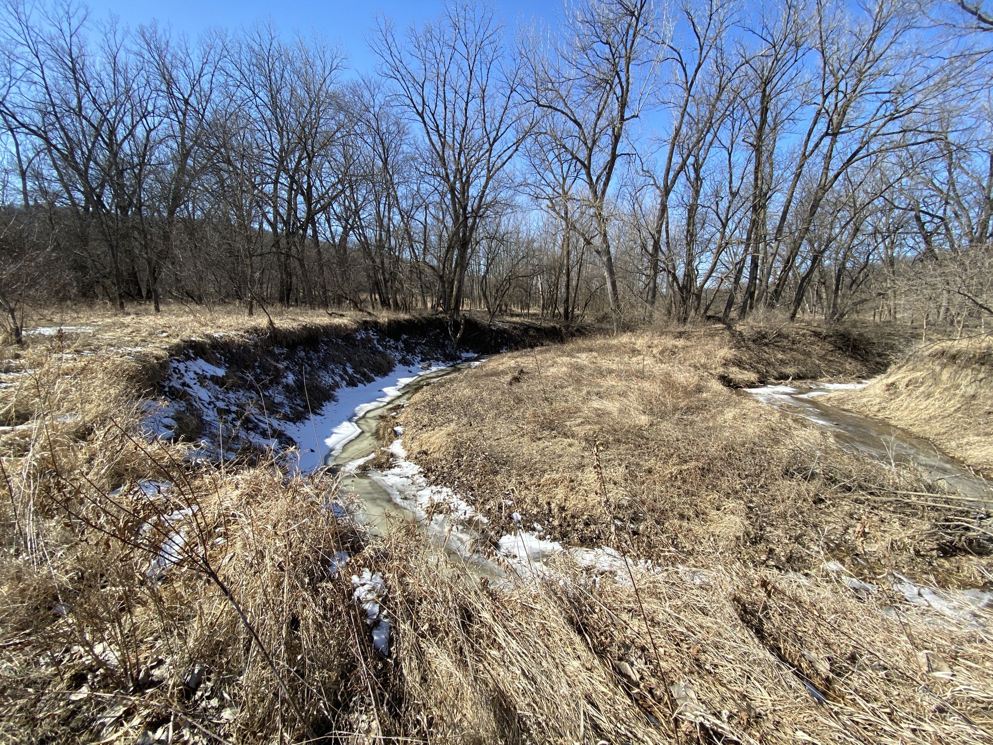 A partially frozen stream winds through dry grass and bare trees on a sunny day. - Kuehn Conservation Prairie Trail