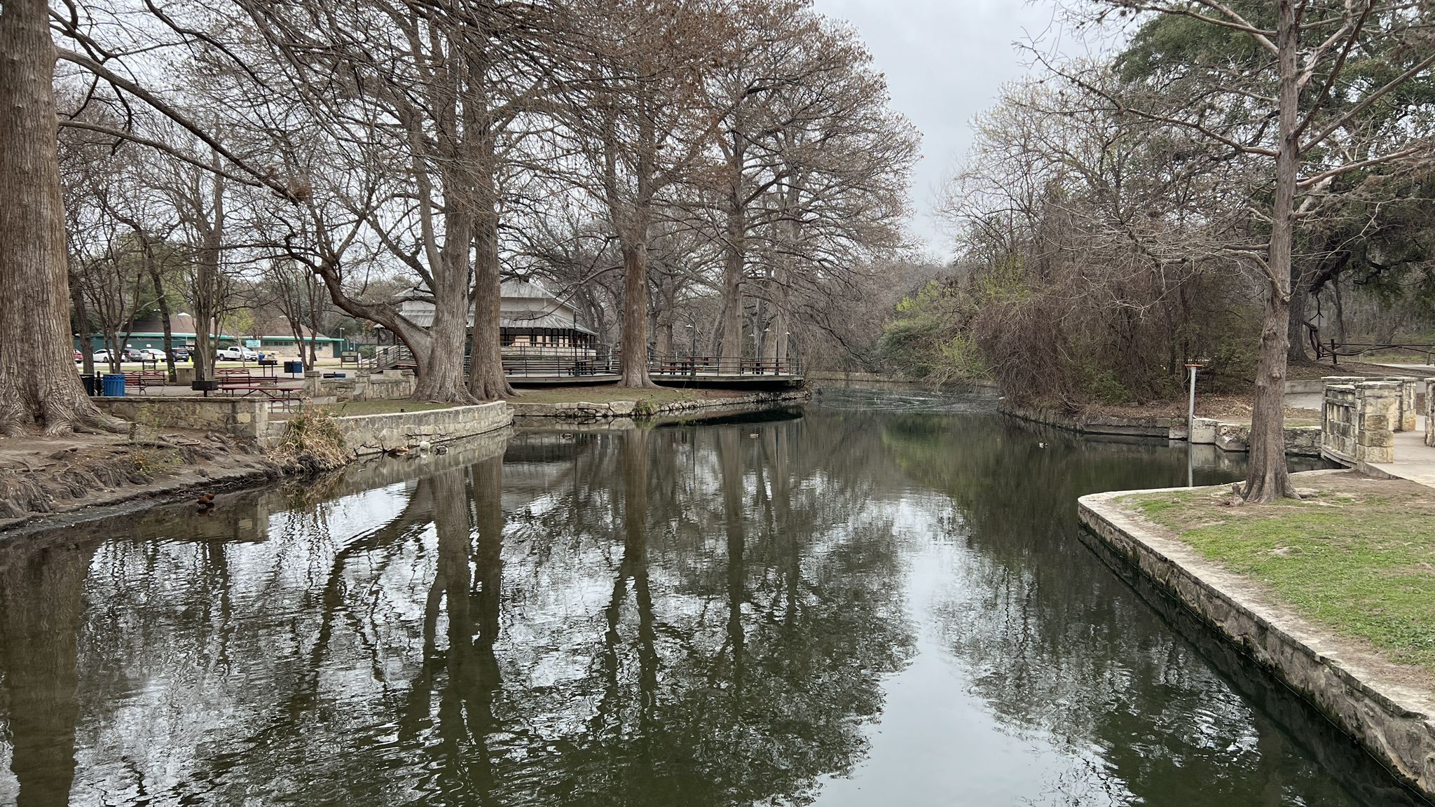 Calm river reflecting bare trees under an overcast sky. - Brackenridge Park Loop