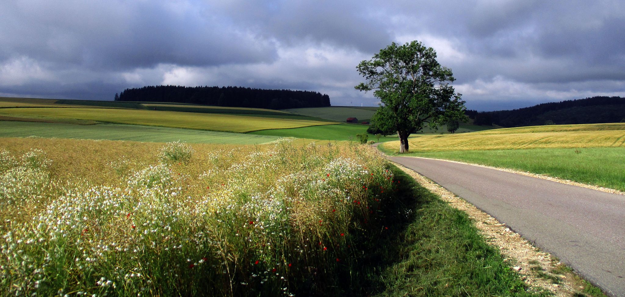 Blick zurück am Wanderparkplatz Albuch