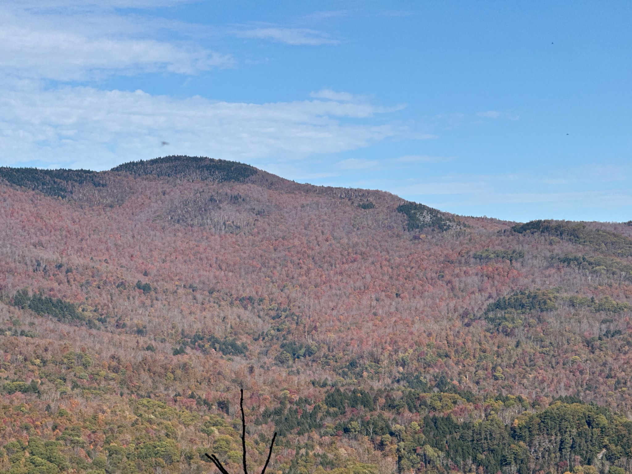 Mountain slopes covered in reddish-brown autumn trees under a clear blue sky. - Duxbury Window Trail