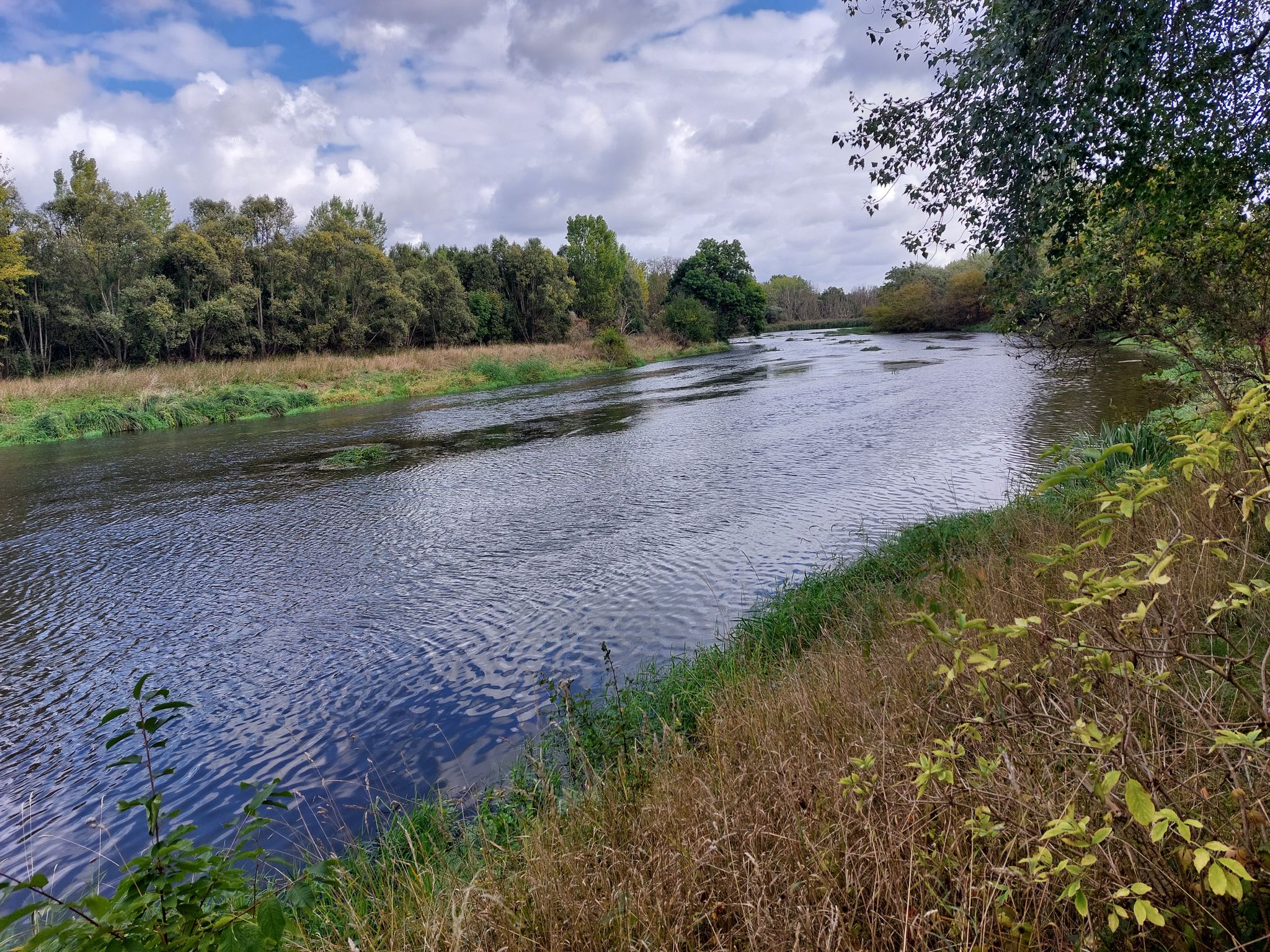 schöner Blick an Rastbank zur Saale