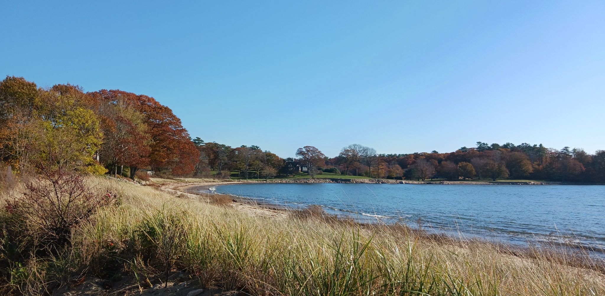 Calm bay with a sandy shore, tall grass, and autumn trees under blue sky. - White, Black & Grey beach loop from Salem