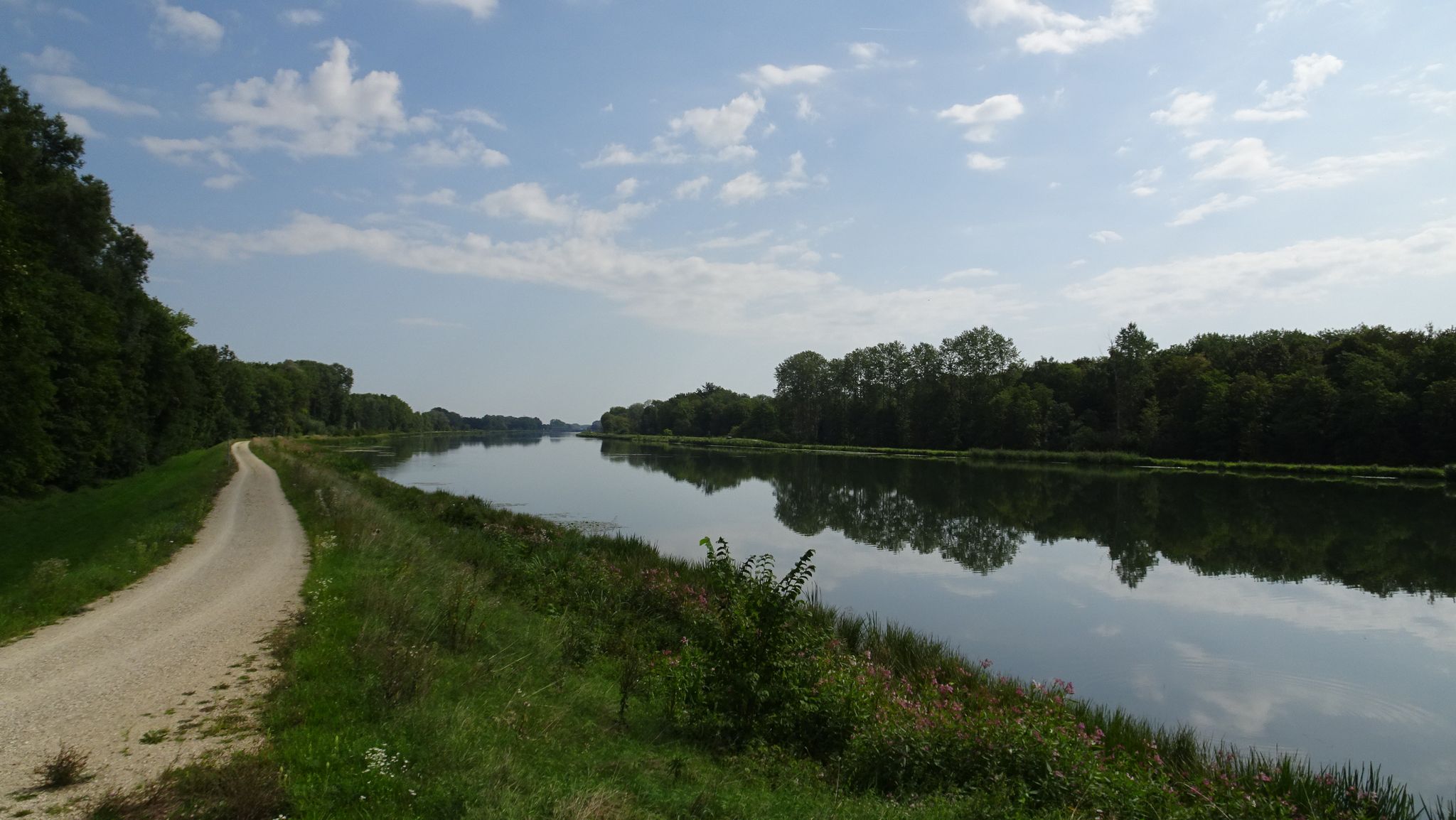die Donau bei Steinheim
