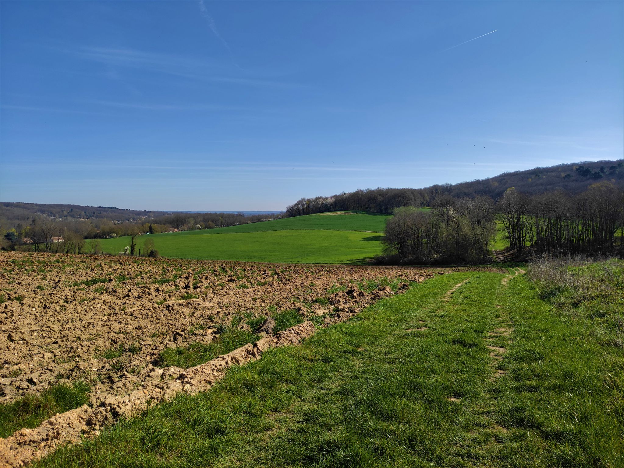 Vue sur le ravin du patrouillot