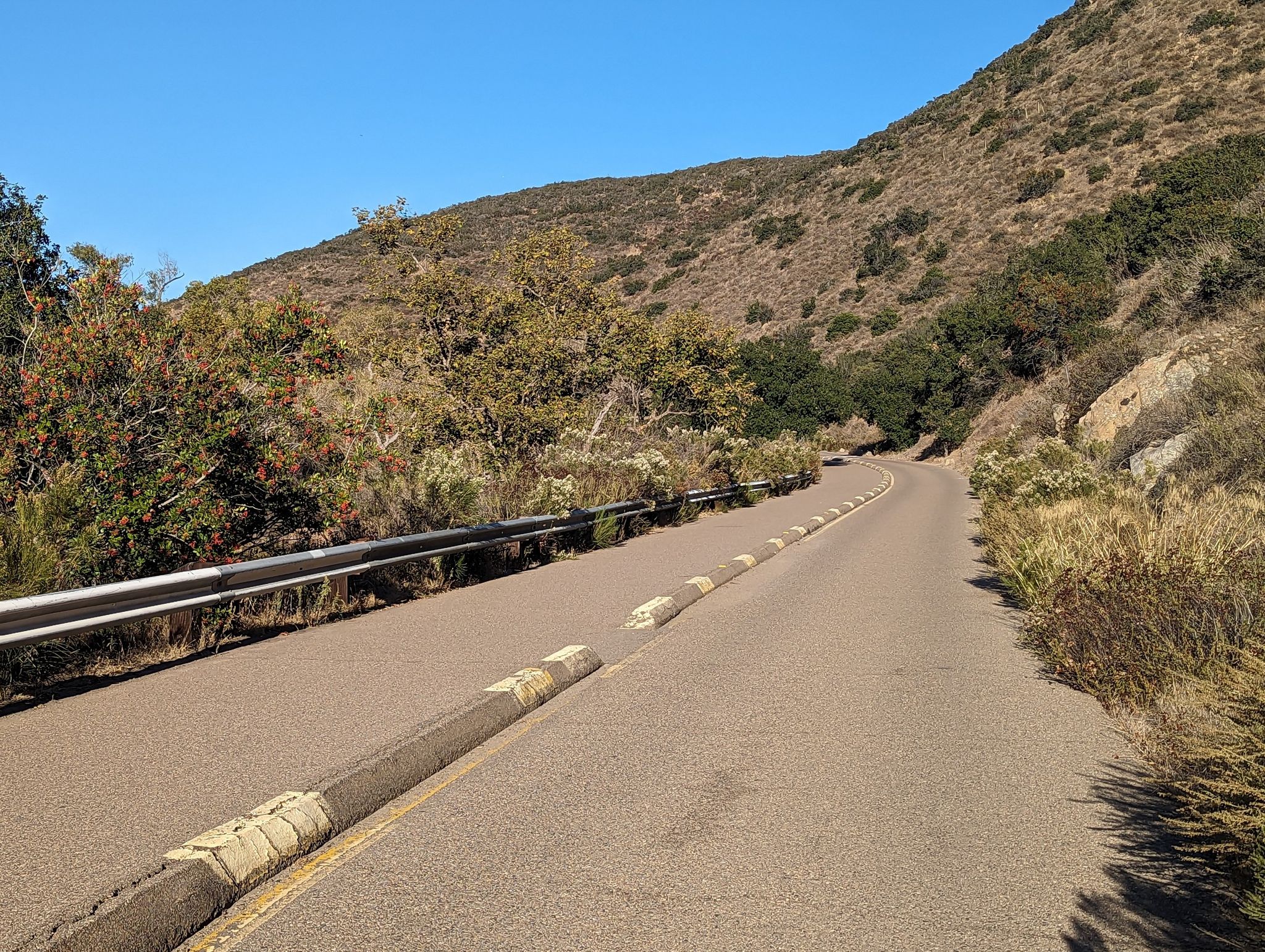 Paved road winding uphill next to a guardrail and dry, scrubby landscape. - Mission Trails Regional Park – Old Mission Dam loop from Grossmont