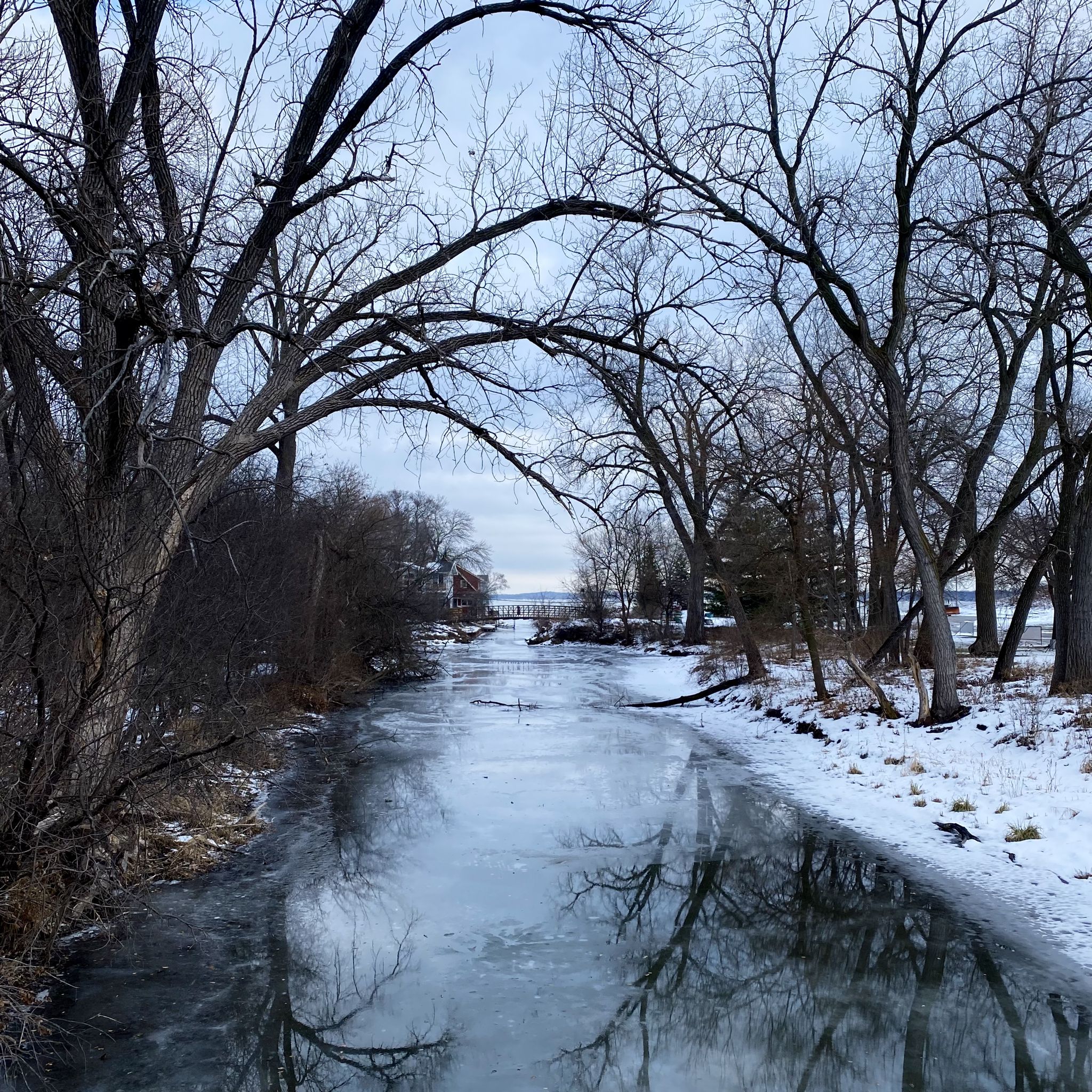 Frozen canal with bare trees arching overhead on an overcast winter day. - Paunack Park on Lake Monona – Monona Terrace Rooftop loop from Madison East High School