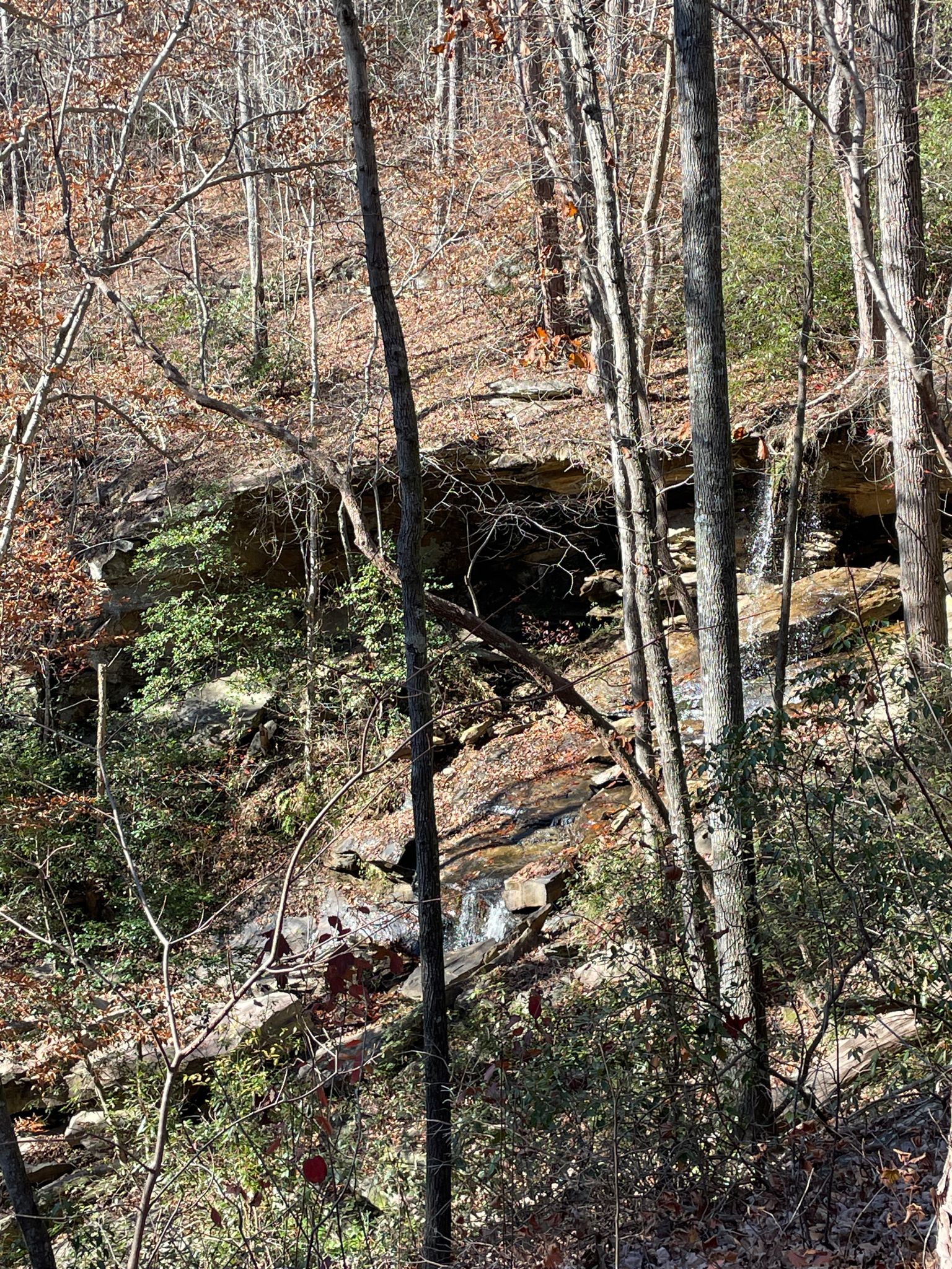 A small waterfall flows over rocky ledges in a dense, sunny forest. - Dead Man's Trail