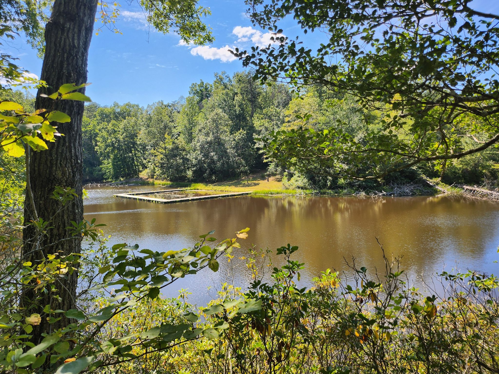 A calm lake surrounded by dense green forest under bright sunlight. - High Meadows, South Valley, and Quantico Cascades Trail Loop