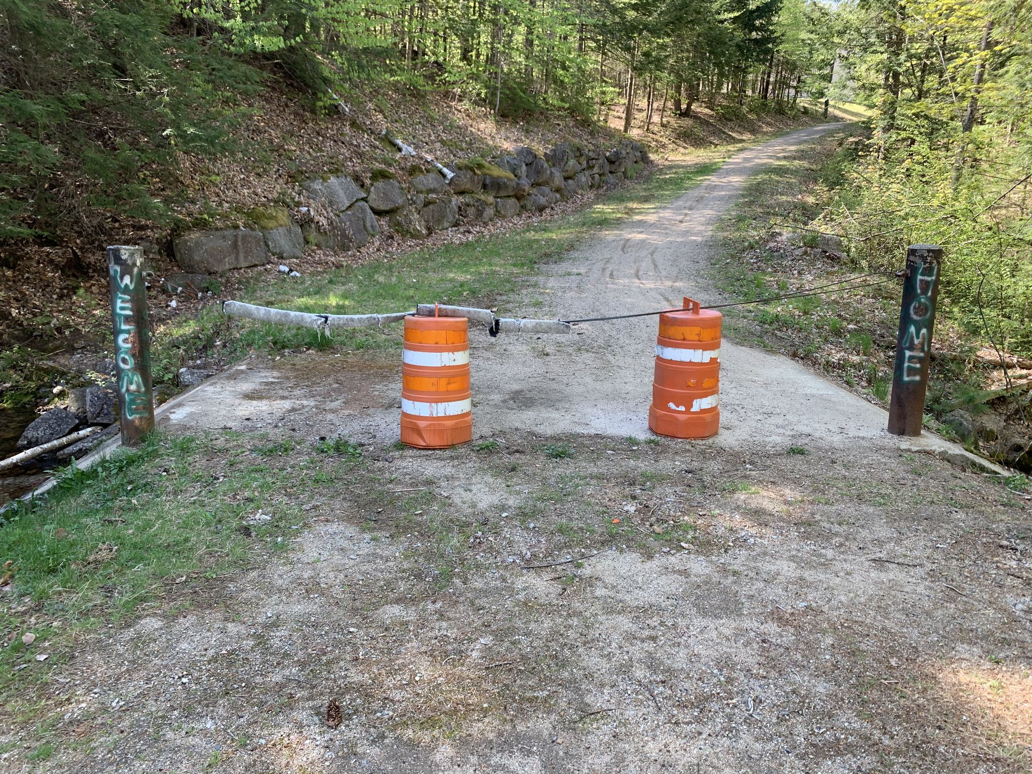 Sunny forest path blocked by orange barrels and a rope barrier. - Kettle Ridge, Cranmore, and Red Tail Trails Loop