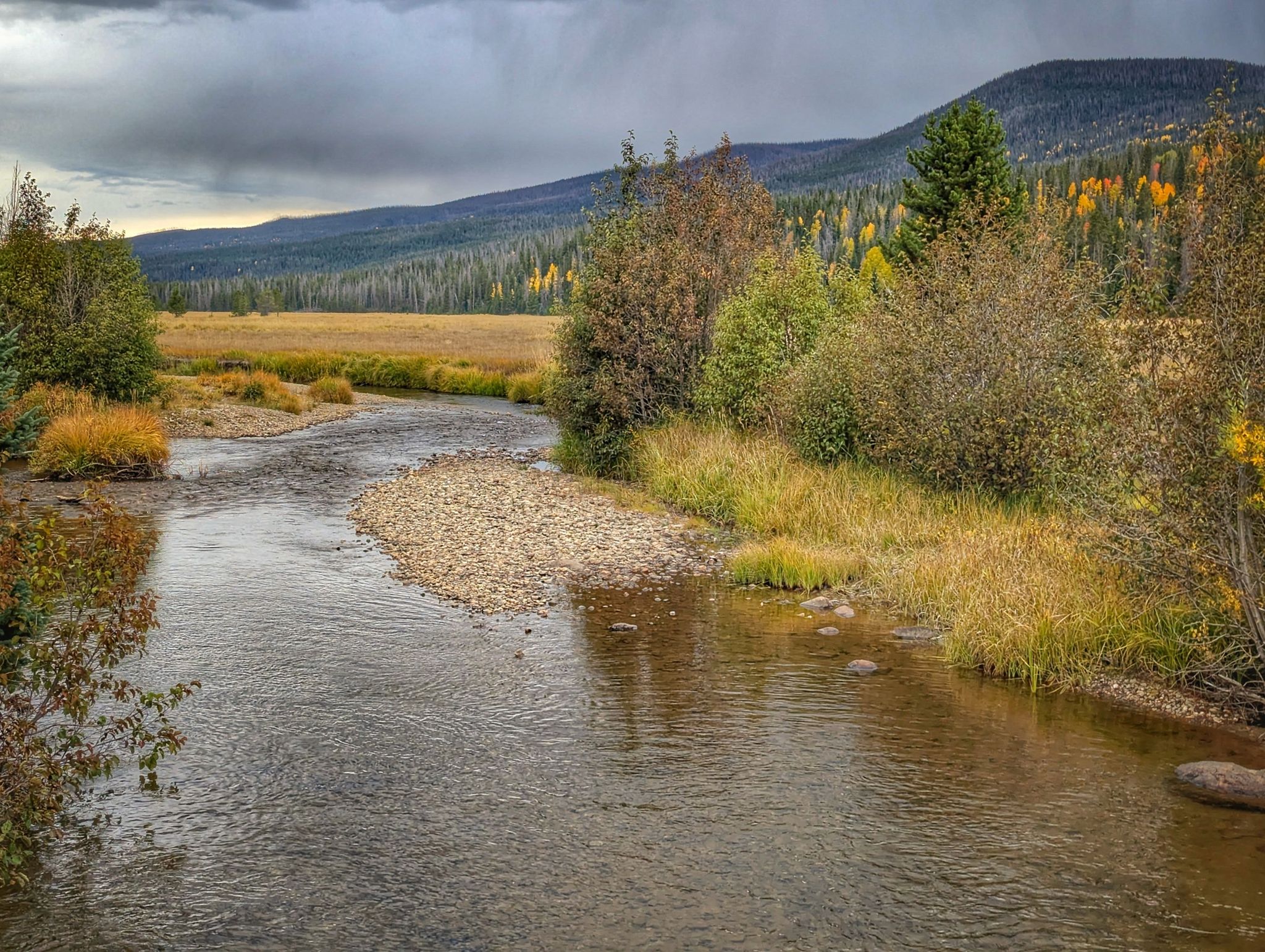 River flowing through an autumn meadow with forested mountains under cloudy sky. - Grand Ditch Trail