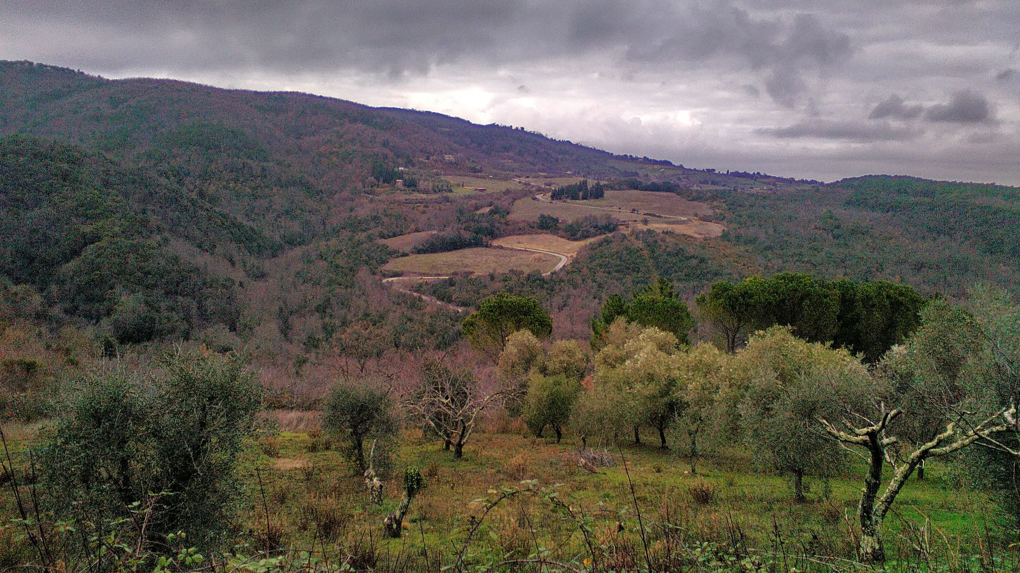 verso Chianni