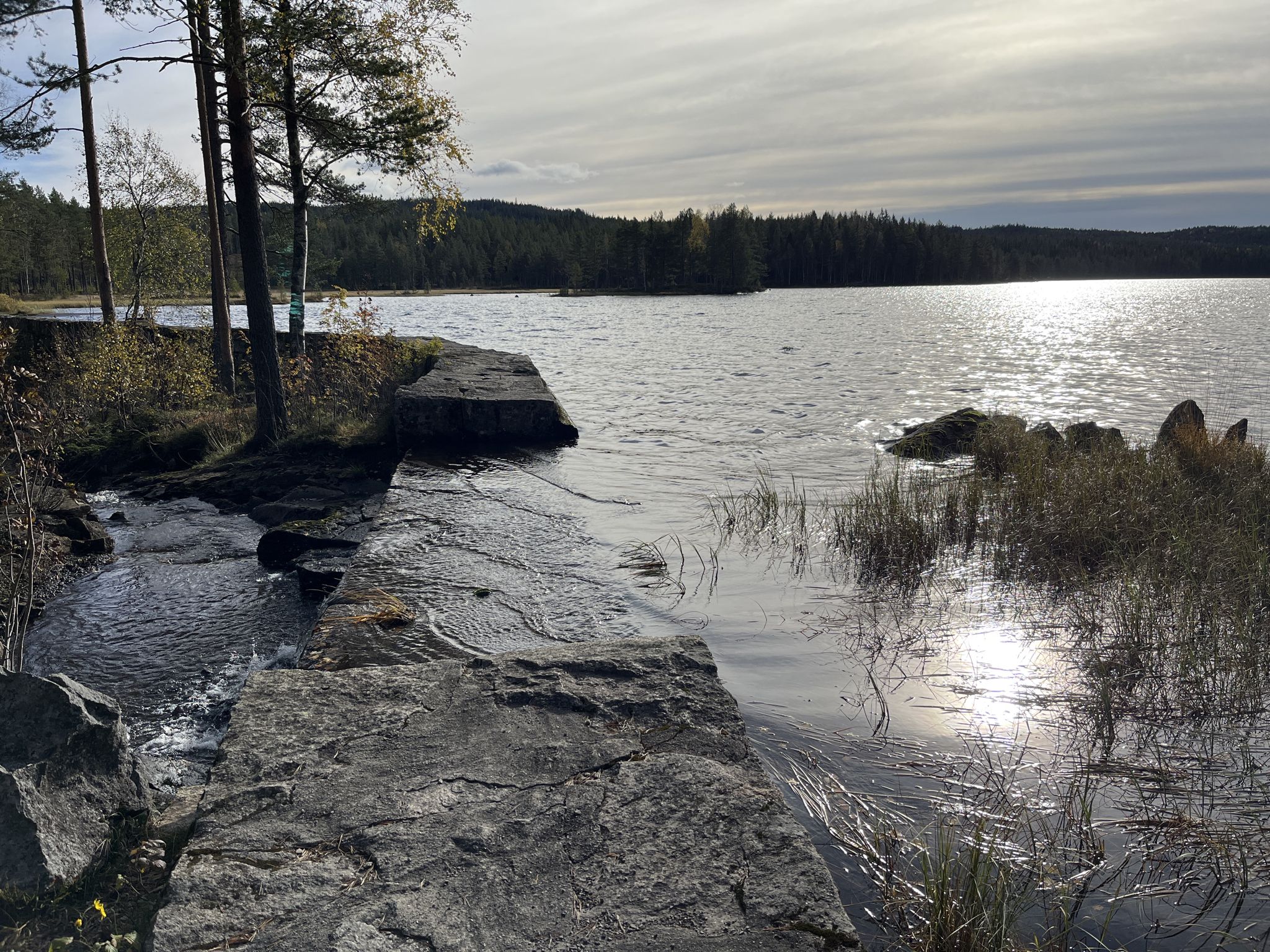 Langvann
