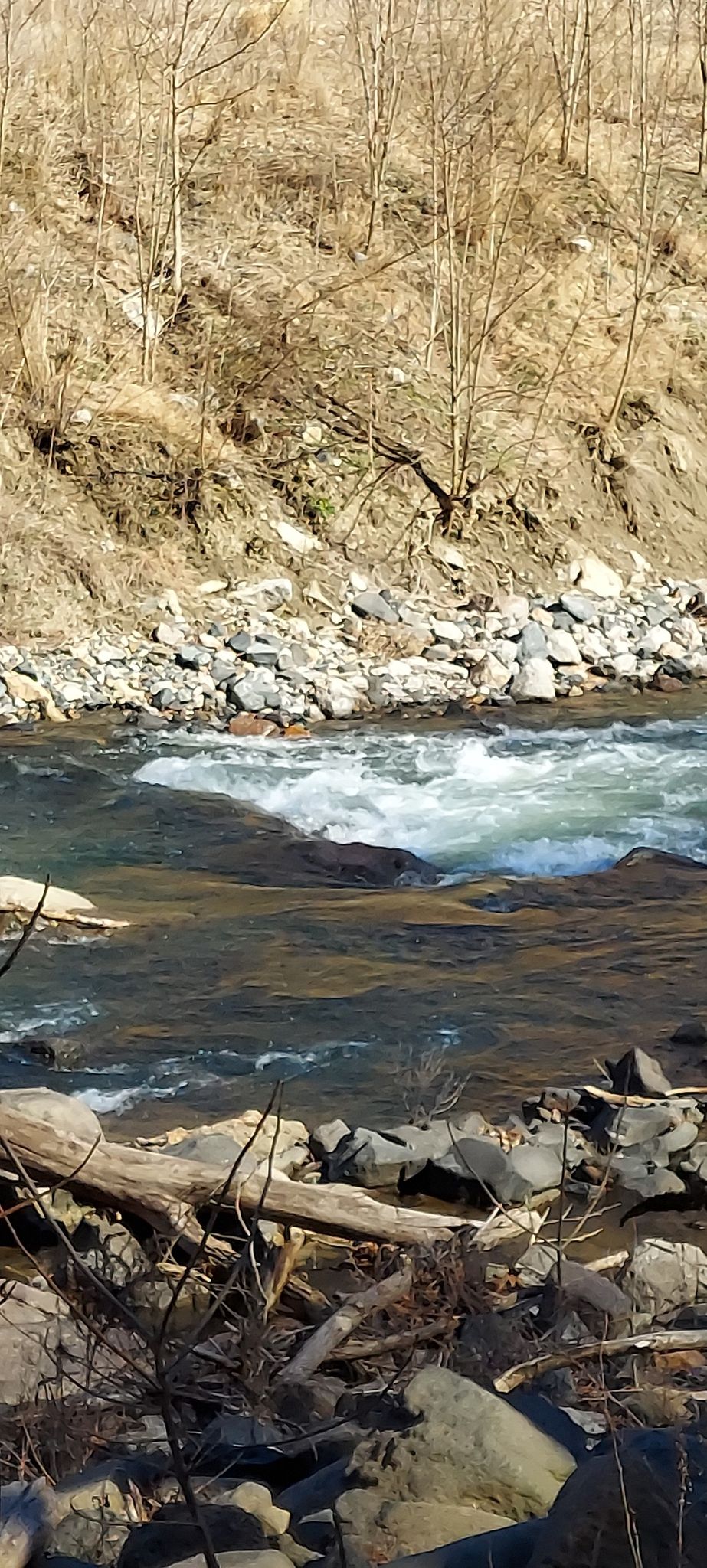 A river with white rapids flows past rocky banks and bare hills. - Grist Mill, Sawmill Branch, Santee Branch, and Cascade Falls Trail