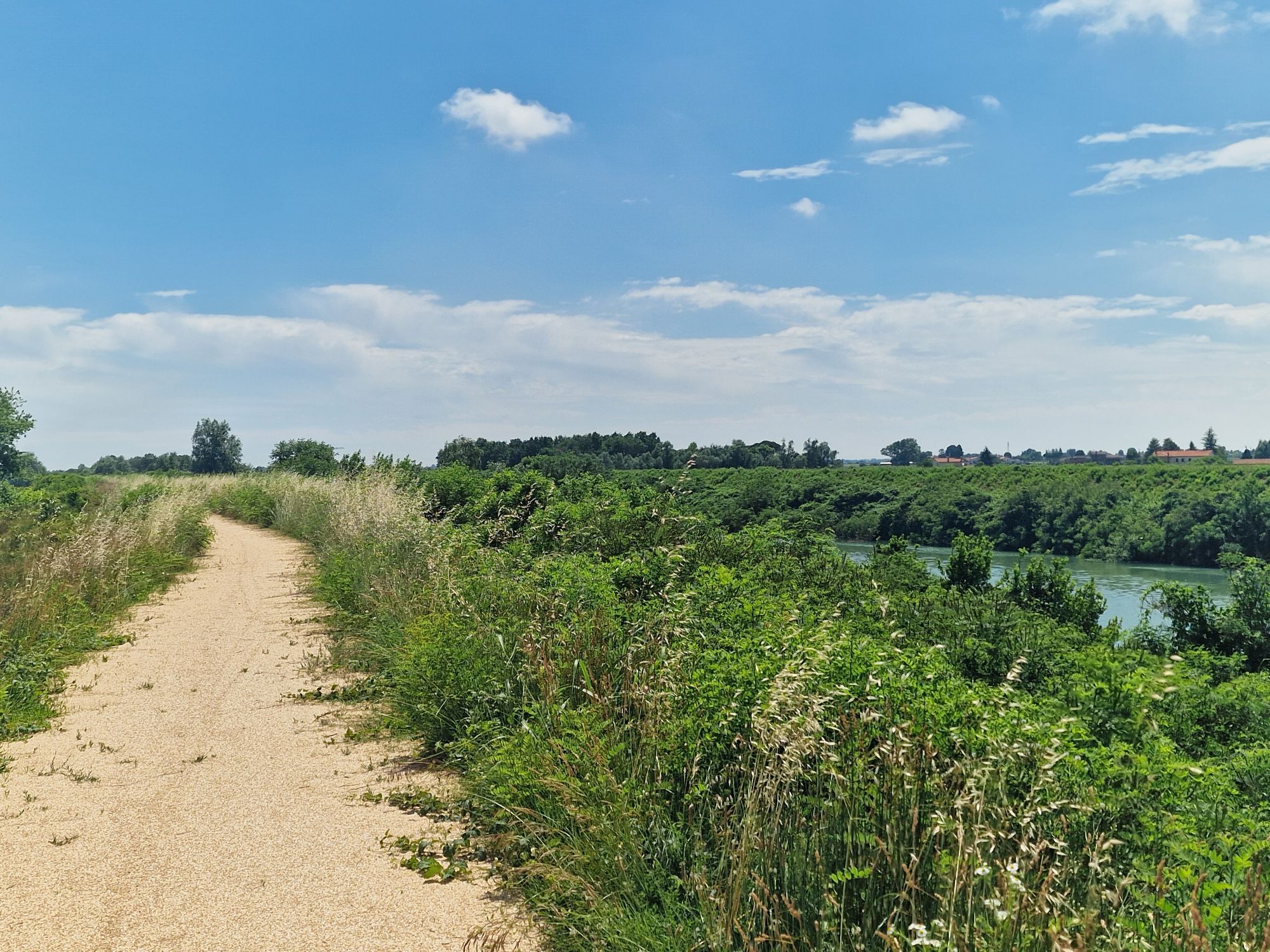 Radweg-Teilstück entlang der Livenza