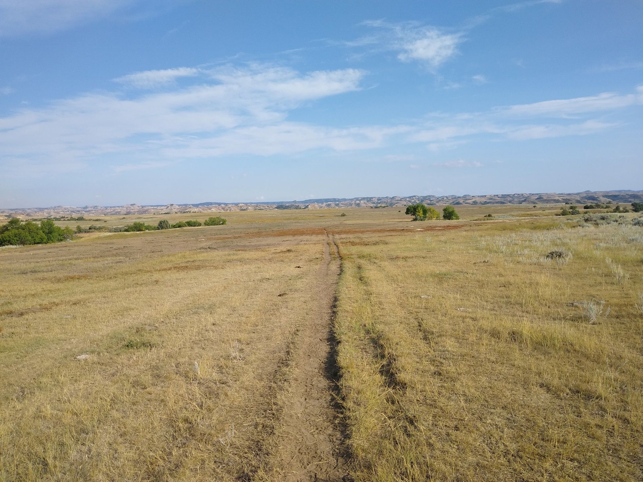 A dirt path stretches through sunlit, dry grassy plains under a blue sky. - The Big Plateau and Ekblom Trail Loop