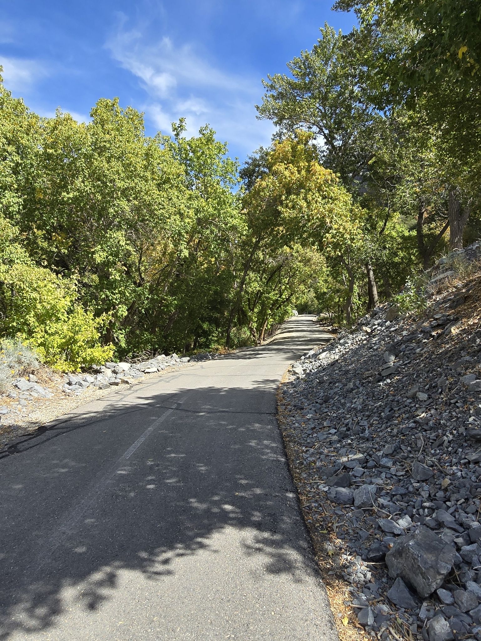 Paved road winding uphill through a tunnel of green and yellow trees. - Provo River Parkway – Bridal Veil Falls loop from Cascade Professional Plaza