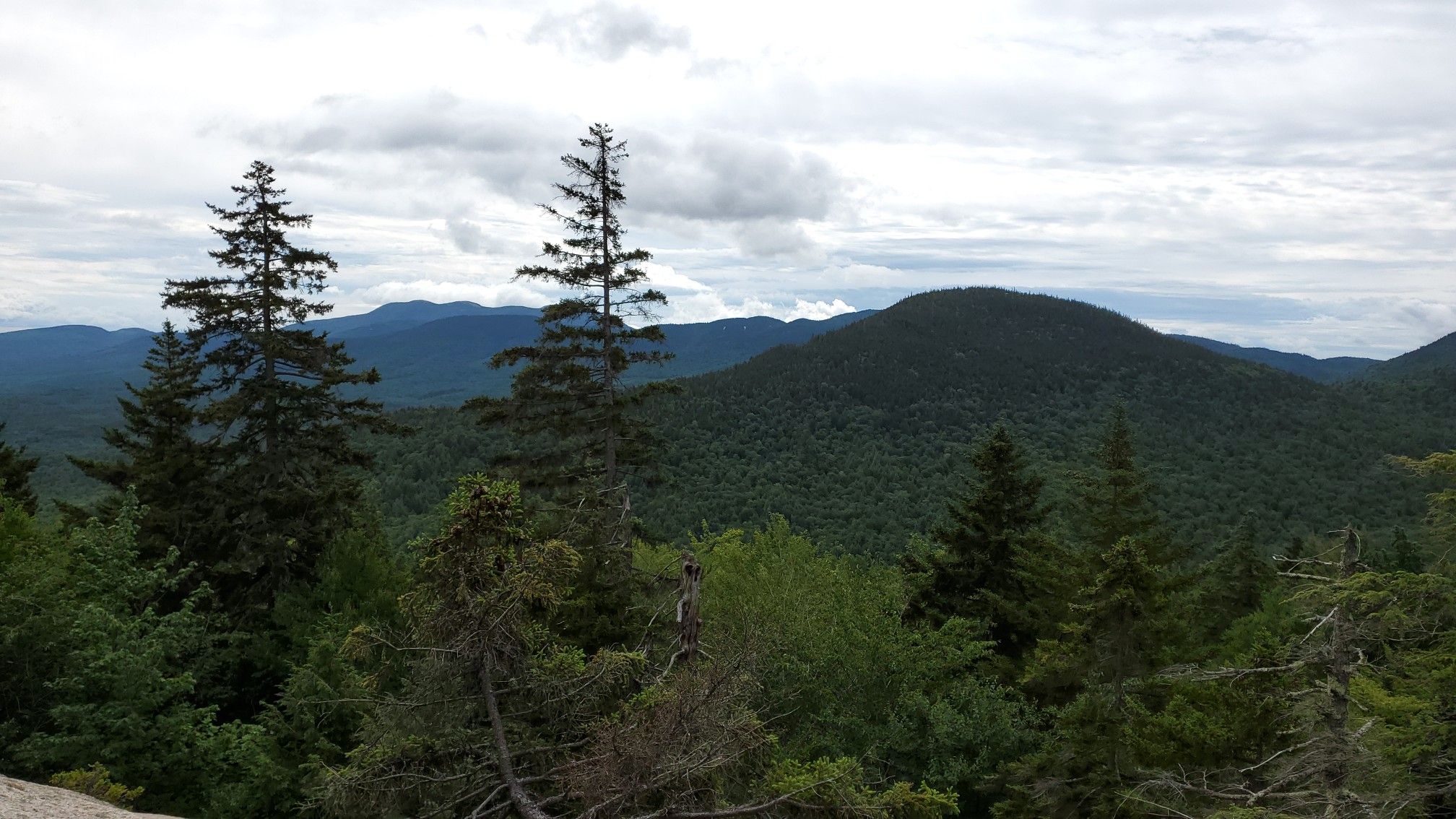 Overcast sky above a vast, green, forested mountain landscape with tall evergreens. - Potash Mountain Trail